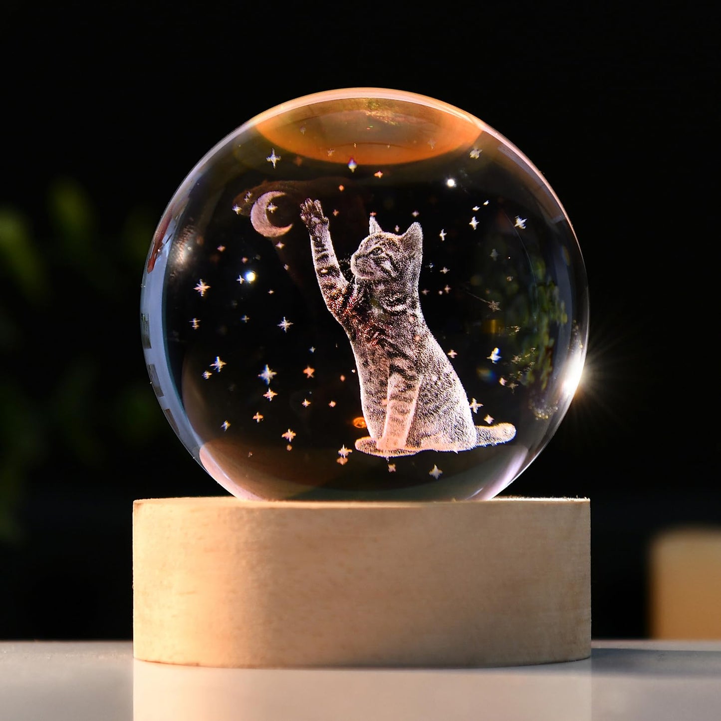 IFOLAINA 3D Cat Themed Gifts for Women Friends 3D Cat Glass Globe