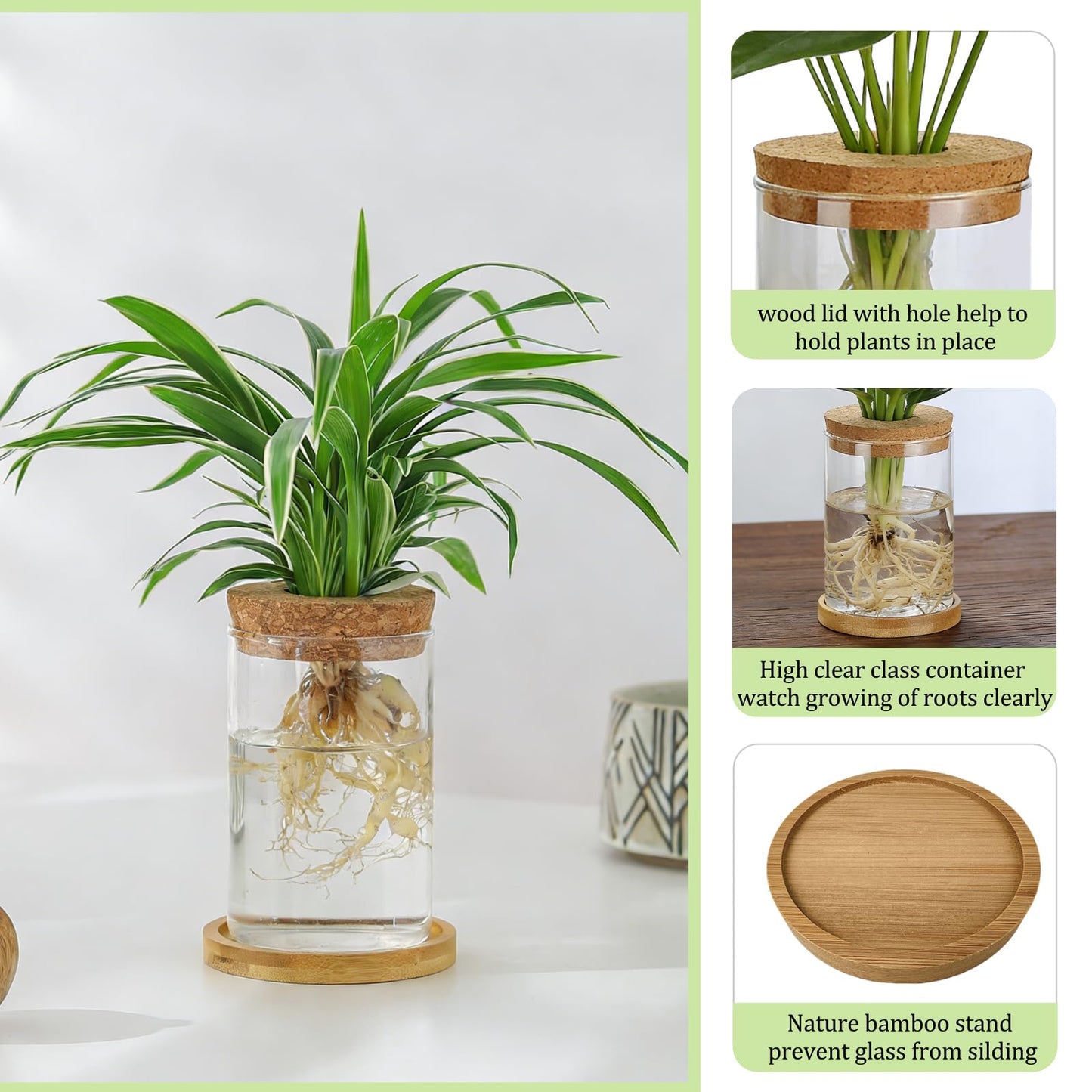 SPRFAIRY 4 Set Glass Plant Propagation Station for Plant 2 Large & 2 Small