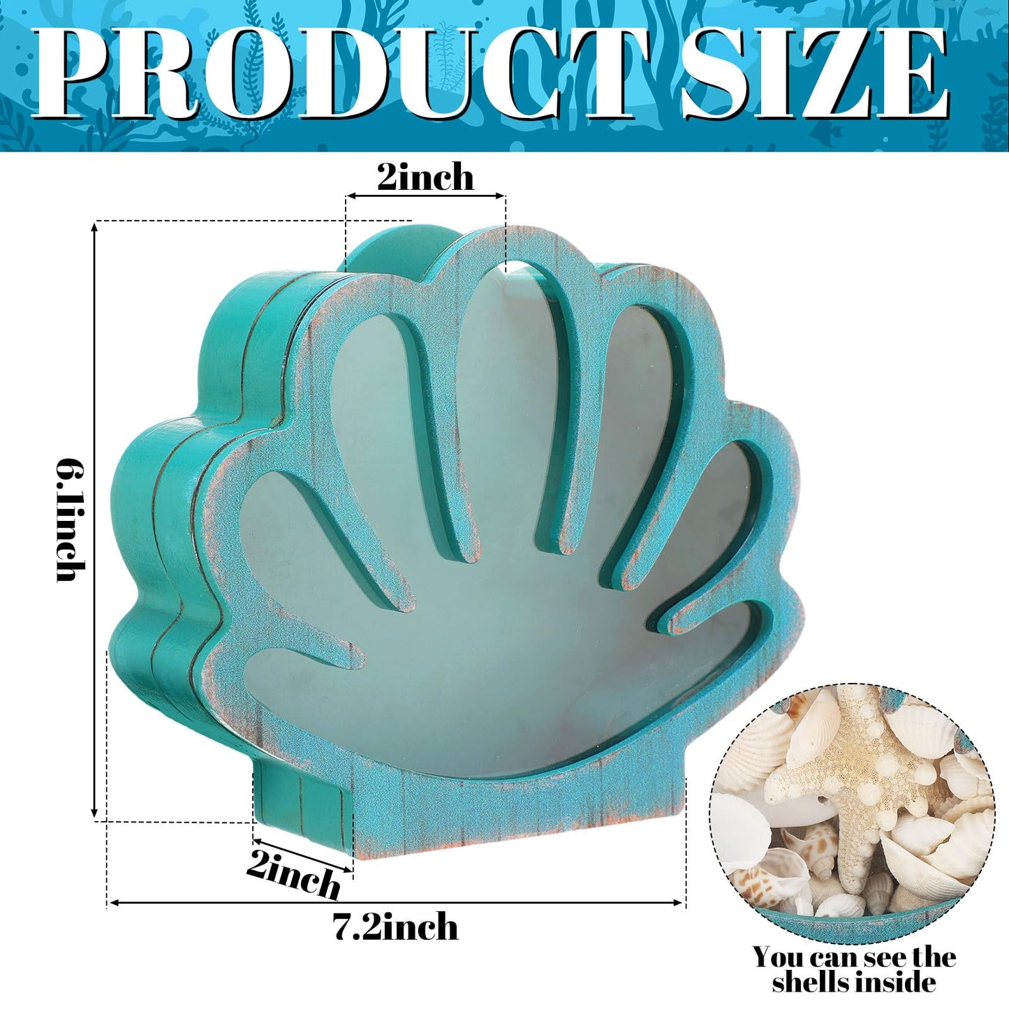 CroBlissful Seashell Holder Seashell Display Box Wooden Small Starfish Shell Display Case with Acrylic Clear Window Shark Tooth Collection Box for Shells Sea Rock Home Decor Present(Green,Shell)
