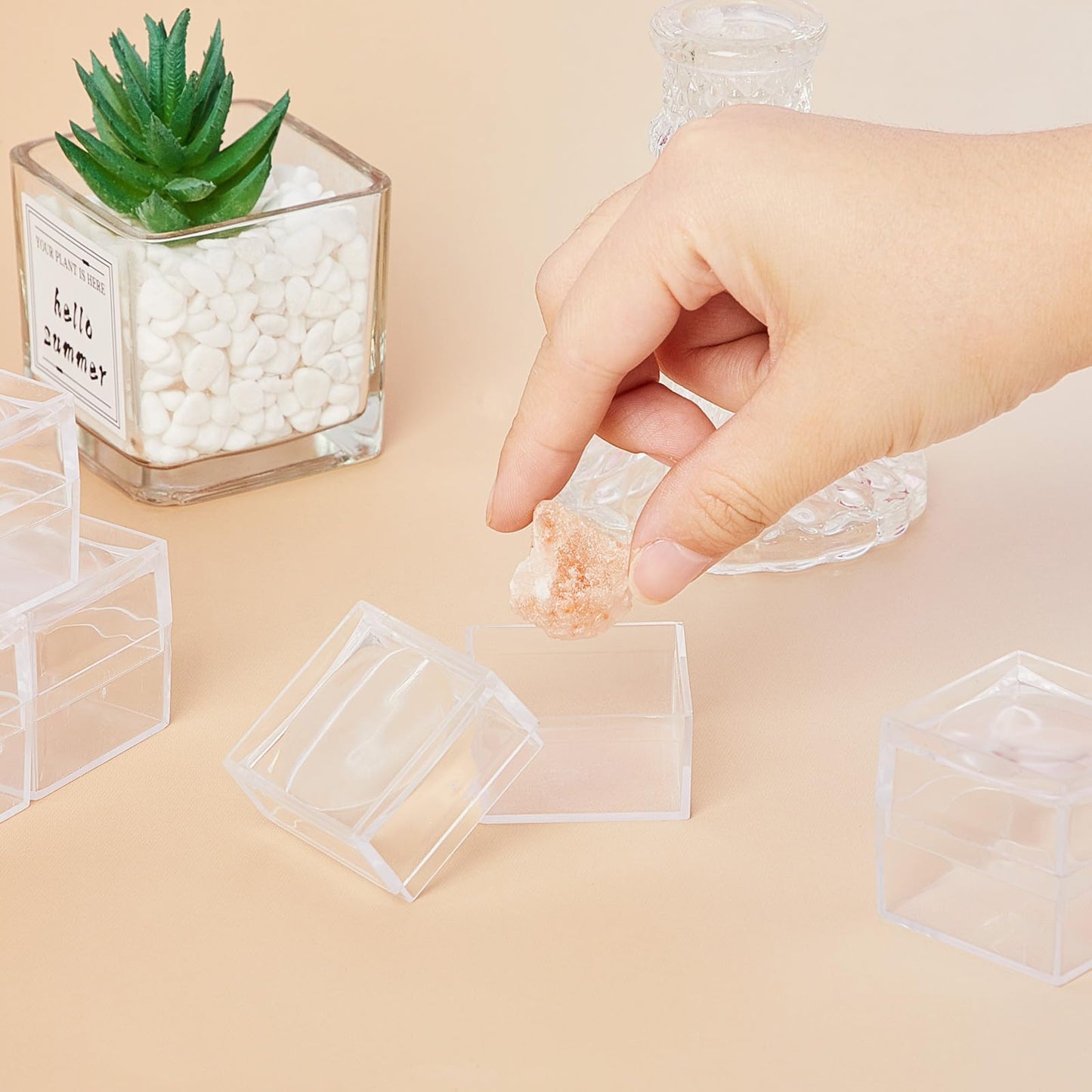DoubleFill 10 Pack Rock Display Case Clear Rock Collection Boxes Storage 2.5 x Magnifying Specimen Boxes Bug Viewer Box for Mineral Stone Storage Gemstone Fossil Crystal Coins Collectibles