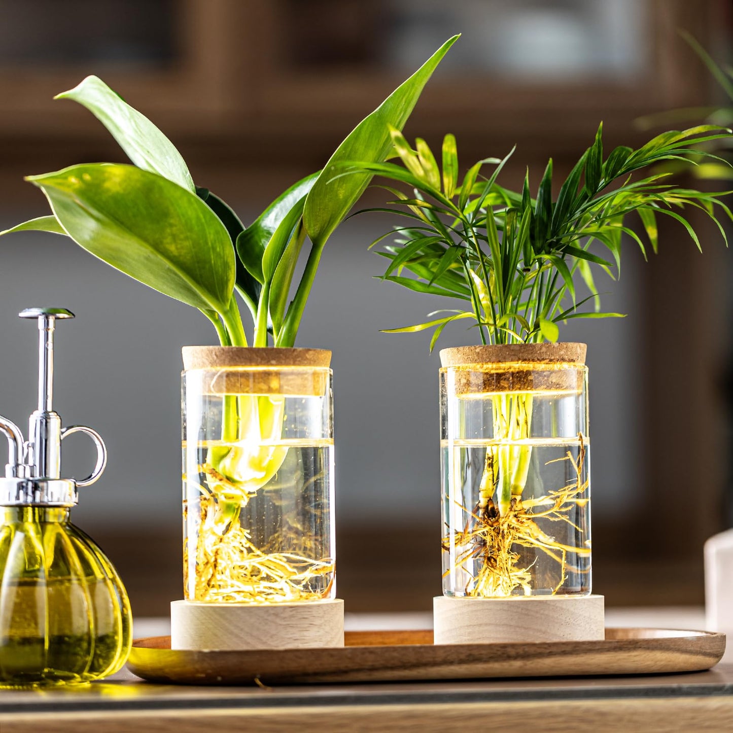 Glass Plant Propagation Stations, Propagation Vases for Plants with Ambient Light Base, Hydroponic Vase for Home & Office Windowsill Tabletop Decoration Desktop Vases for Living Room, Bedroom (2)