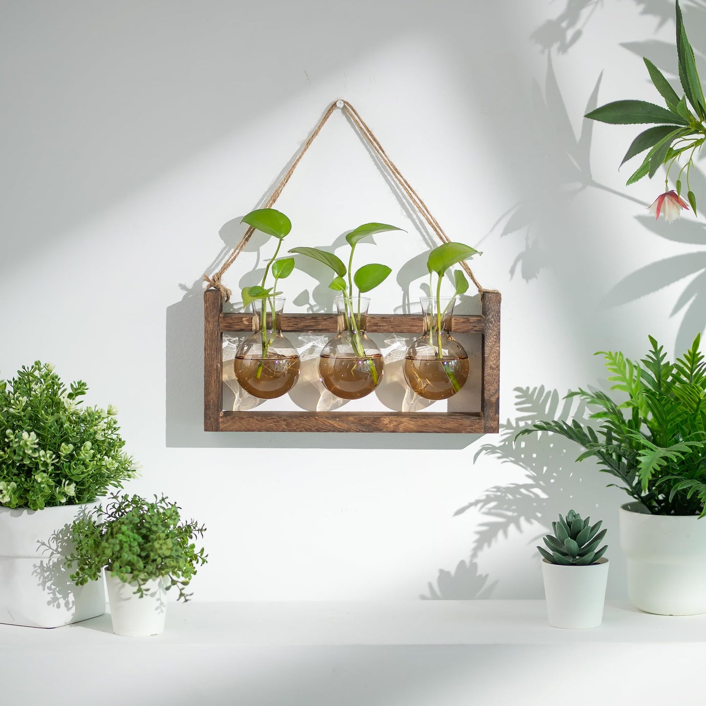 Walasis Plant Propagation Station with Wood Stand - Farmhouse Wood Wall Decor - Gift for Women Plant Lovers (Gradient Brown)