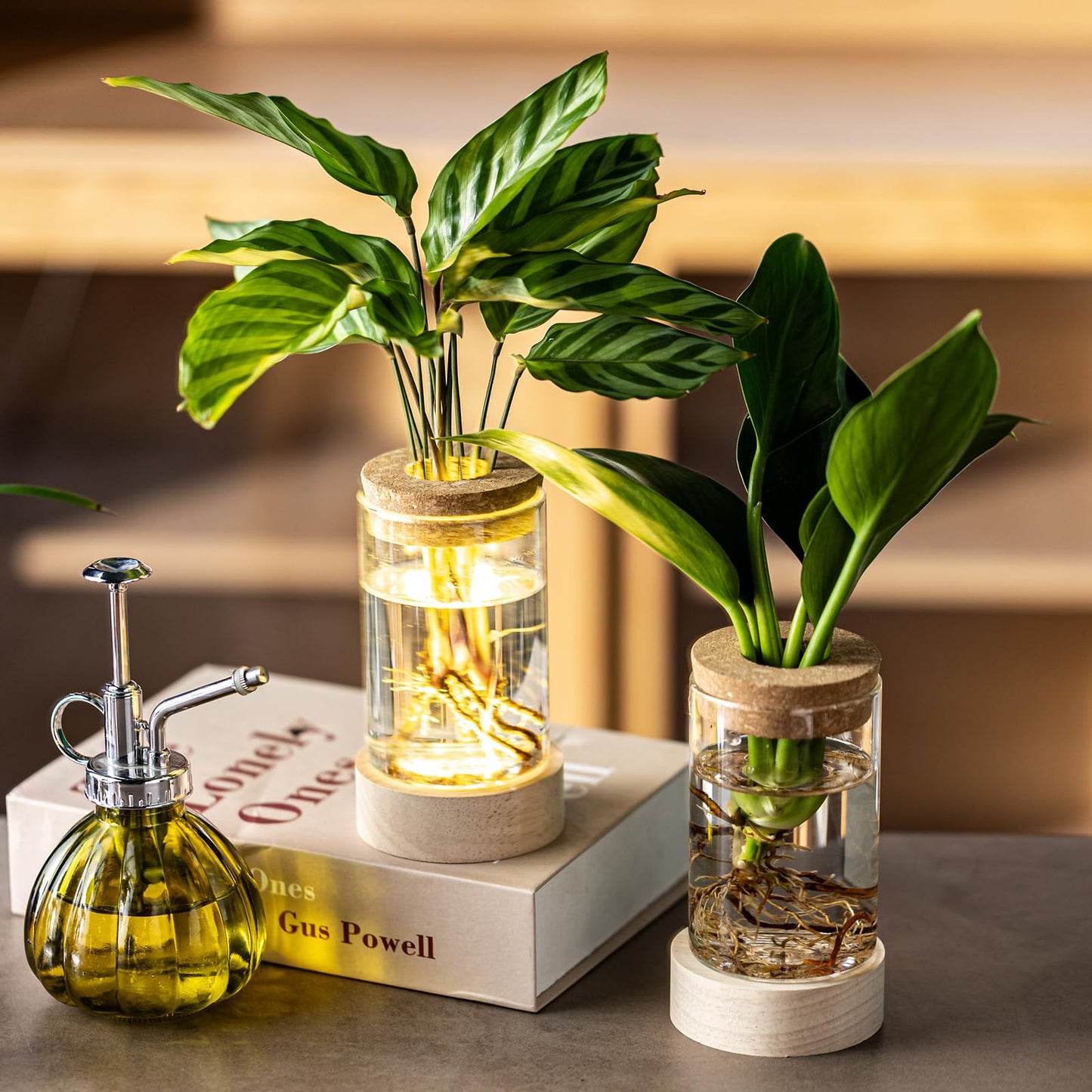 Glass Plant Propagation Stations, Propagation Vases for Plants with Ambient Light Base, Hydroponic Vase for Home & Office Windowsill Tabletop Decoration Desktop Vases for Living Room, Bedroom (2)
