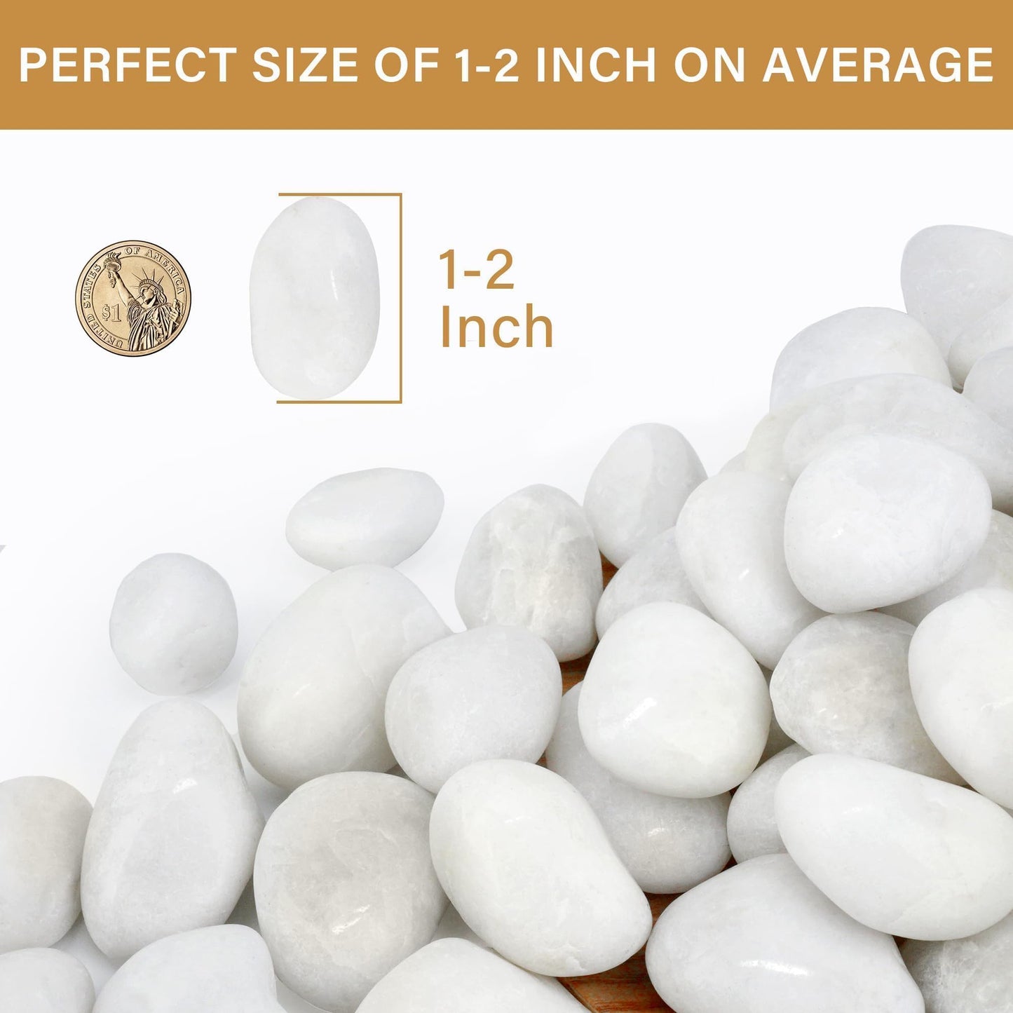 NUPICK 16lb White River Rocks for Outdoor Landscaping, 1-2 Inch Pebbles for Indoor Plants, Natural Polished Aquarium Gravel, Decorative Rocks for Succulent, Garden, Vases Fillers, Bird Baths