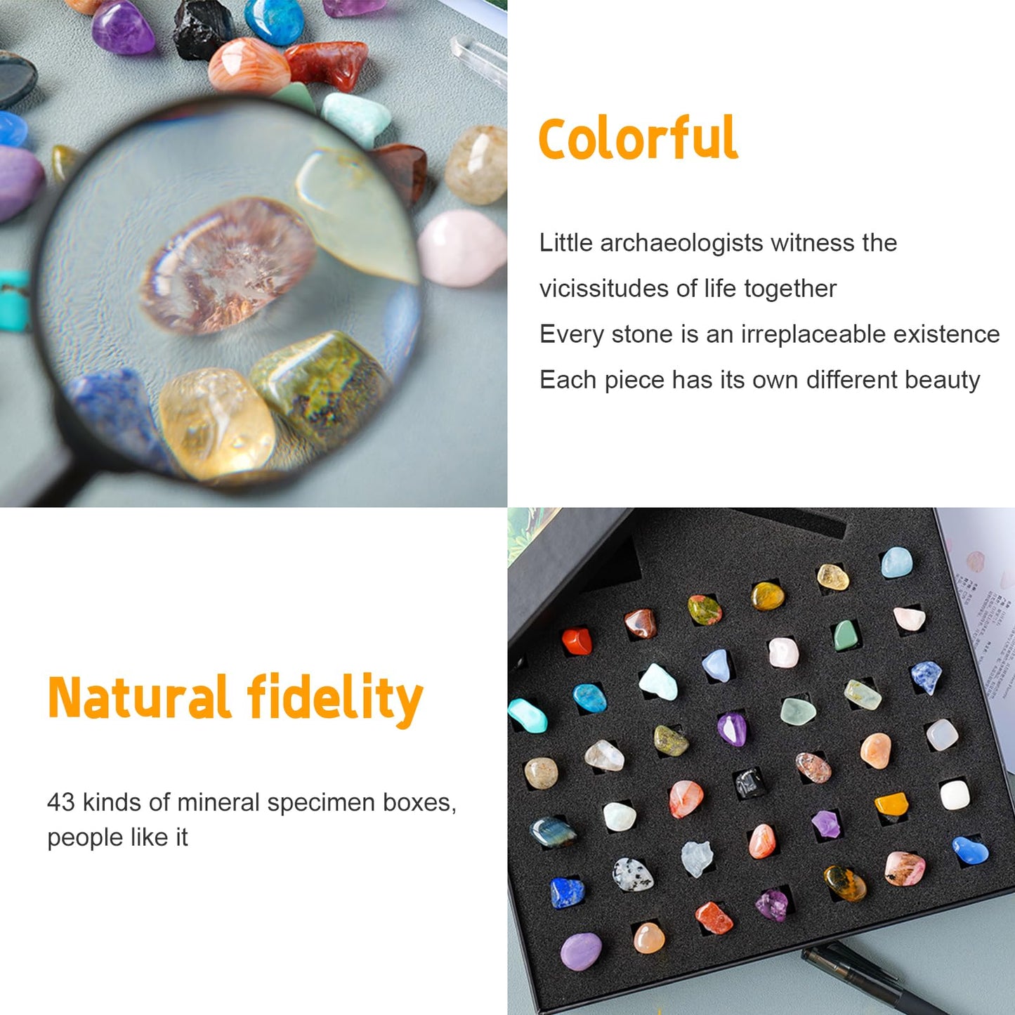 Vbvbip 43 Pieces Rock Kit for Geology Enthusiasts | Rock Collection with Mineral Testing Tools, Crystal Geode Display & Volcanic Samples | Beginner to Advanced Specimen Study