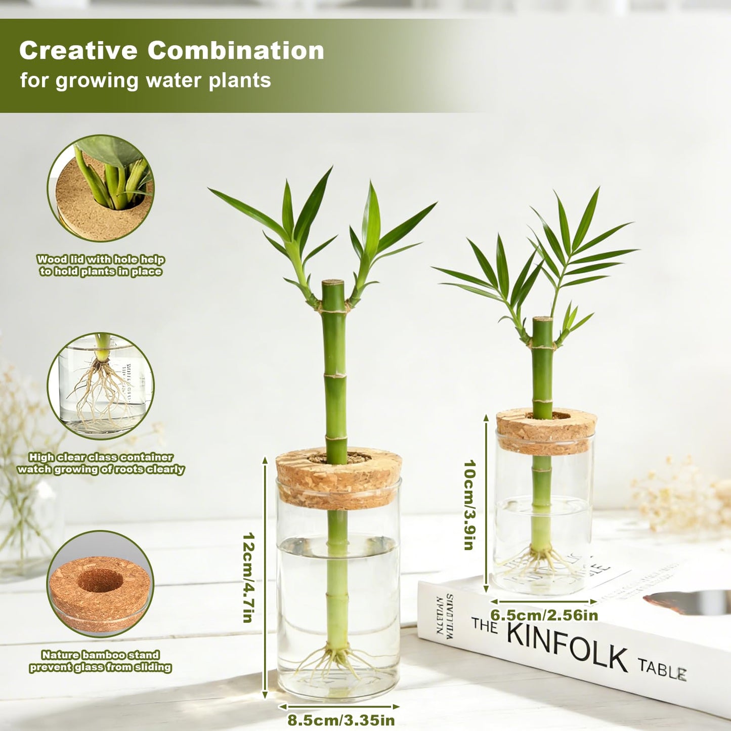 Glass Plant Propagation Station Set of 4, 2 Large and 2 Small Clear Borosilicate Glass Vases for Plant Propagation, Modern Nordic Hydroponic Propagation Stations for Home Office Decor