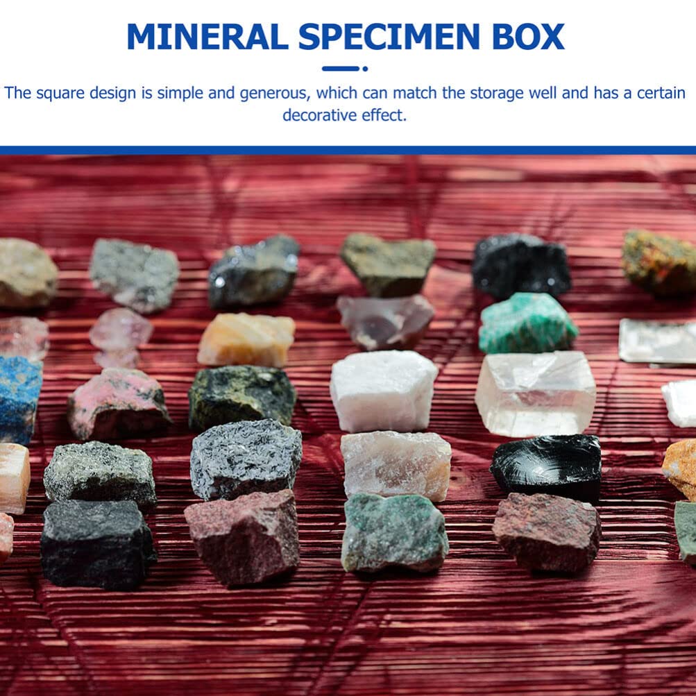 DOITOOL 12 Pack Mineral Specimen Storage Boxes Clear Plastic Specimen Display Cases 1.37 Inch Square Rock Display Containers for Home Collecting and Scientific Use