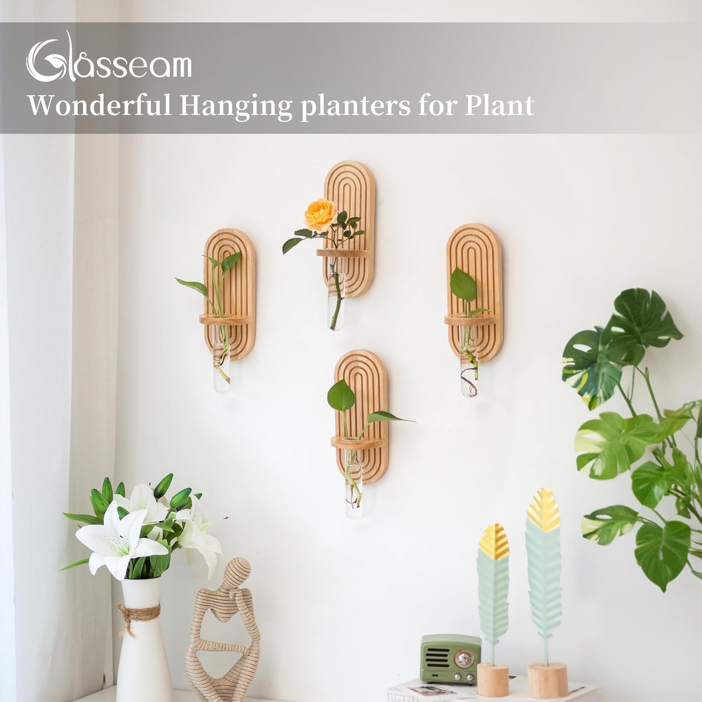 Glasseam Wall Plant Propagation Station: Hanging Glass Propagation Vases