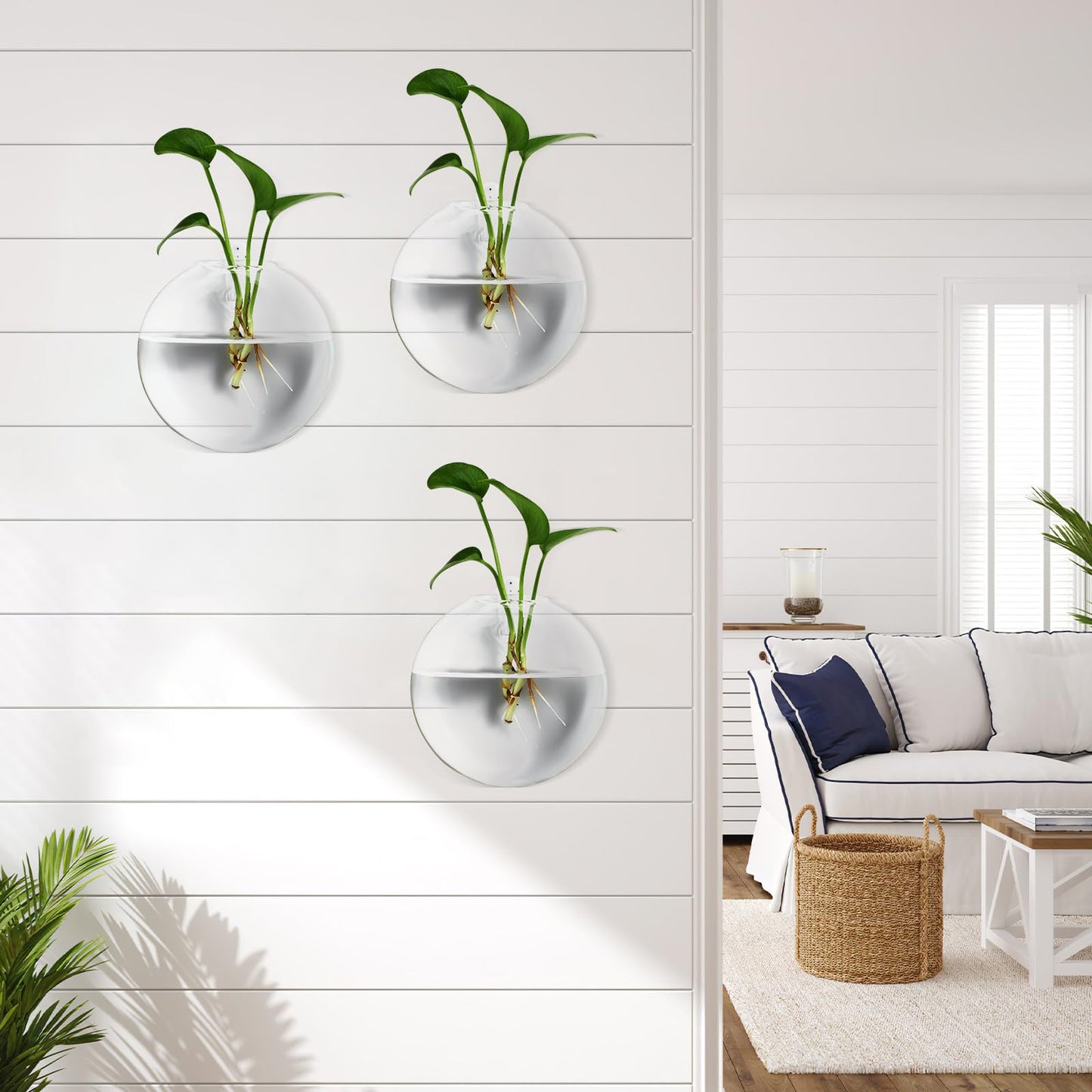 NUOBESTY 4-Pack Clear Glass Wall Mounted Vases Hanging Flower Pots Indoor Wall for Small Space Floral Display and Hydroponics