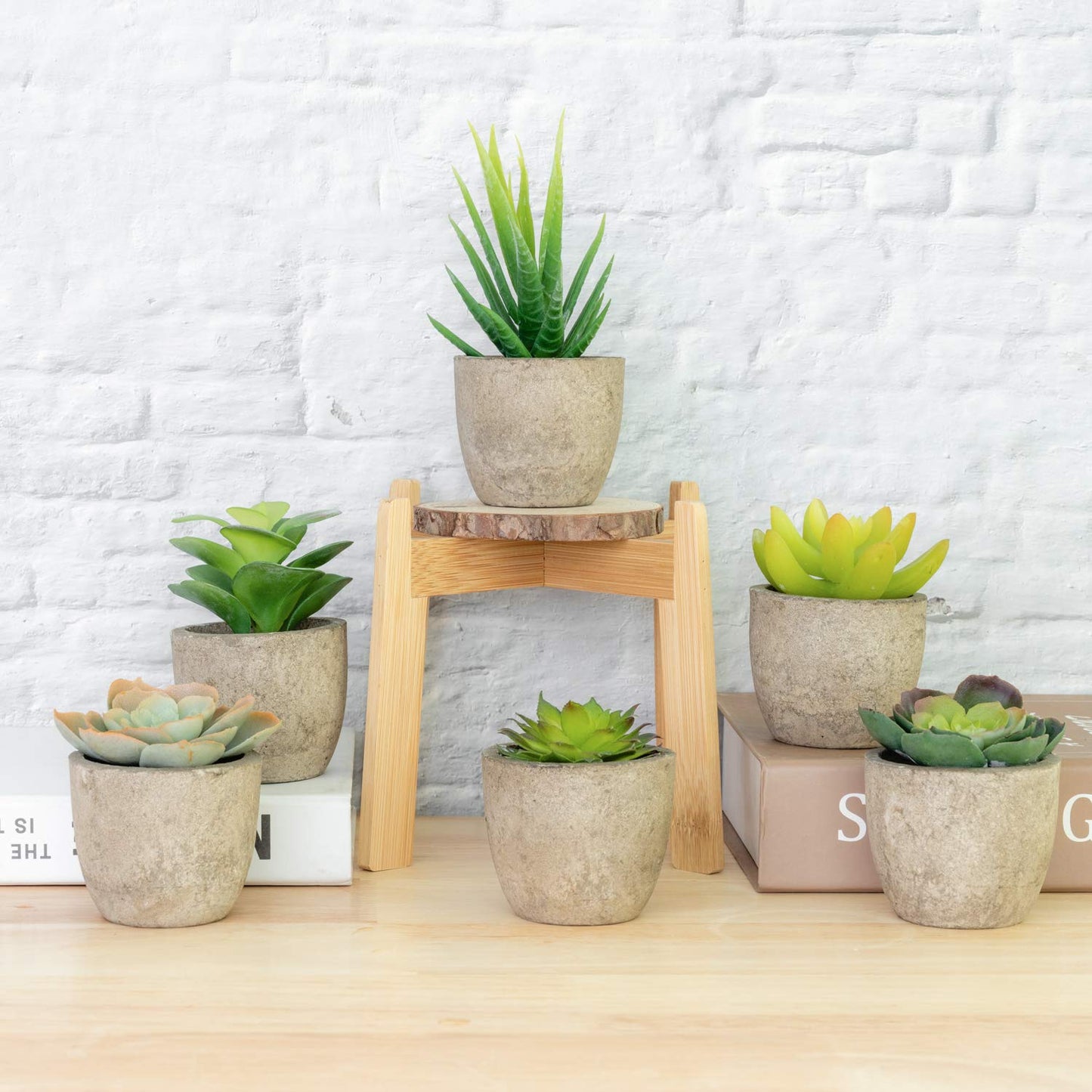 T4U Artificial Succulent Plants in Pot