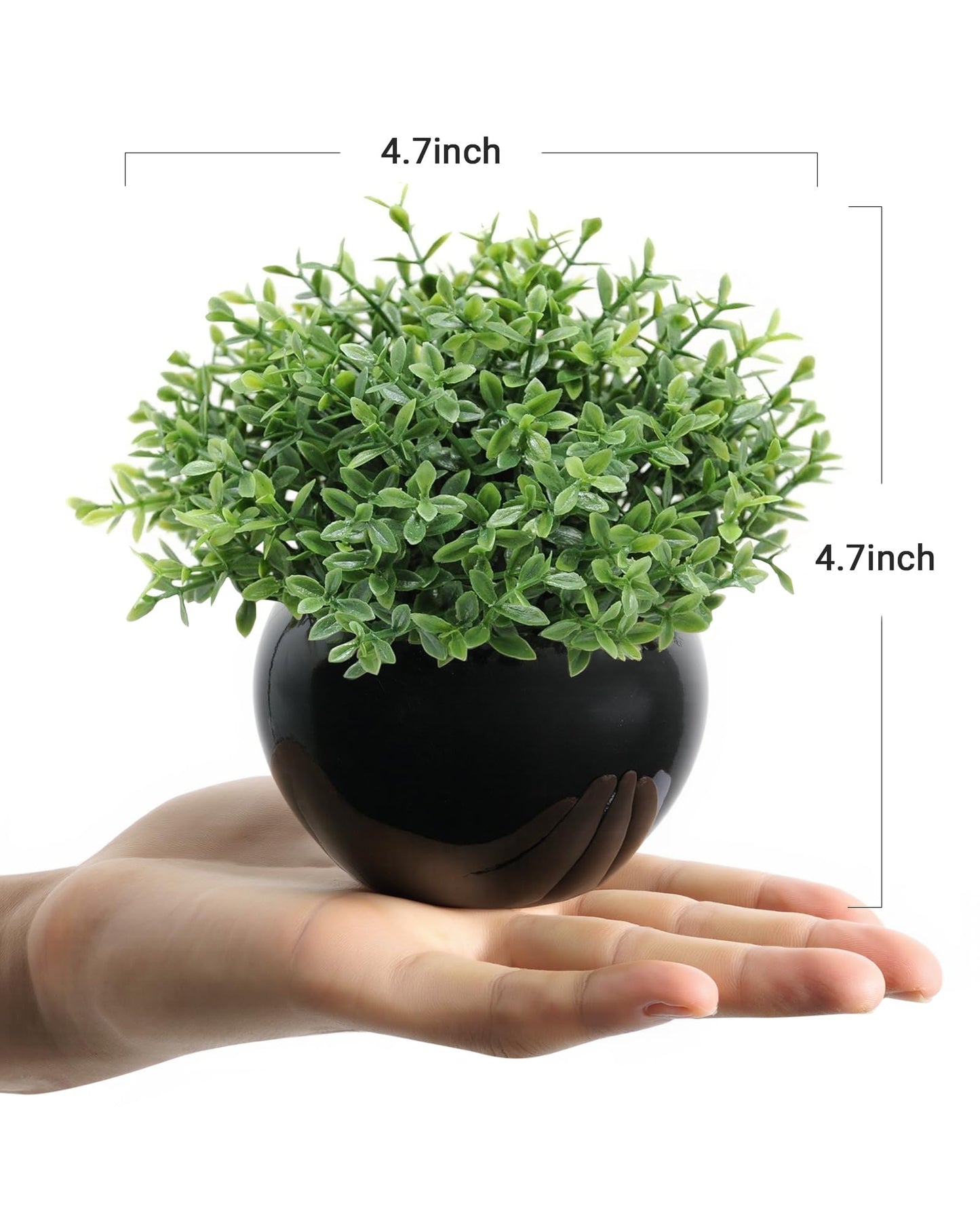 Velener Fake Sage Plants for Shelf Decor, Small Artificial Succulents Grass Desk Plant for Office Women, Mini Faux Plant Indoor, Masculine Home Decor, Coffee Table Decor in Pot