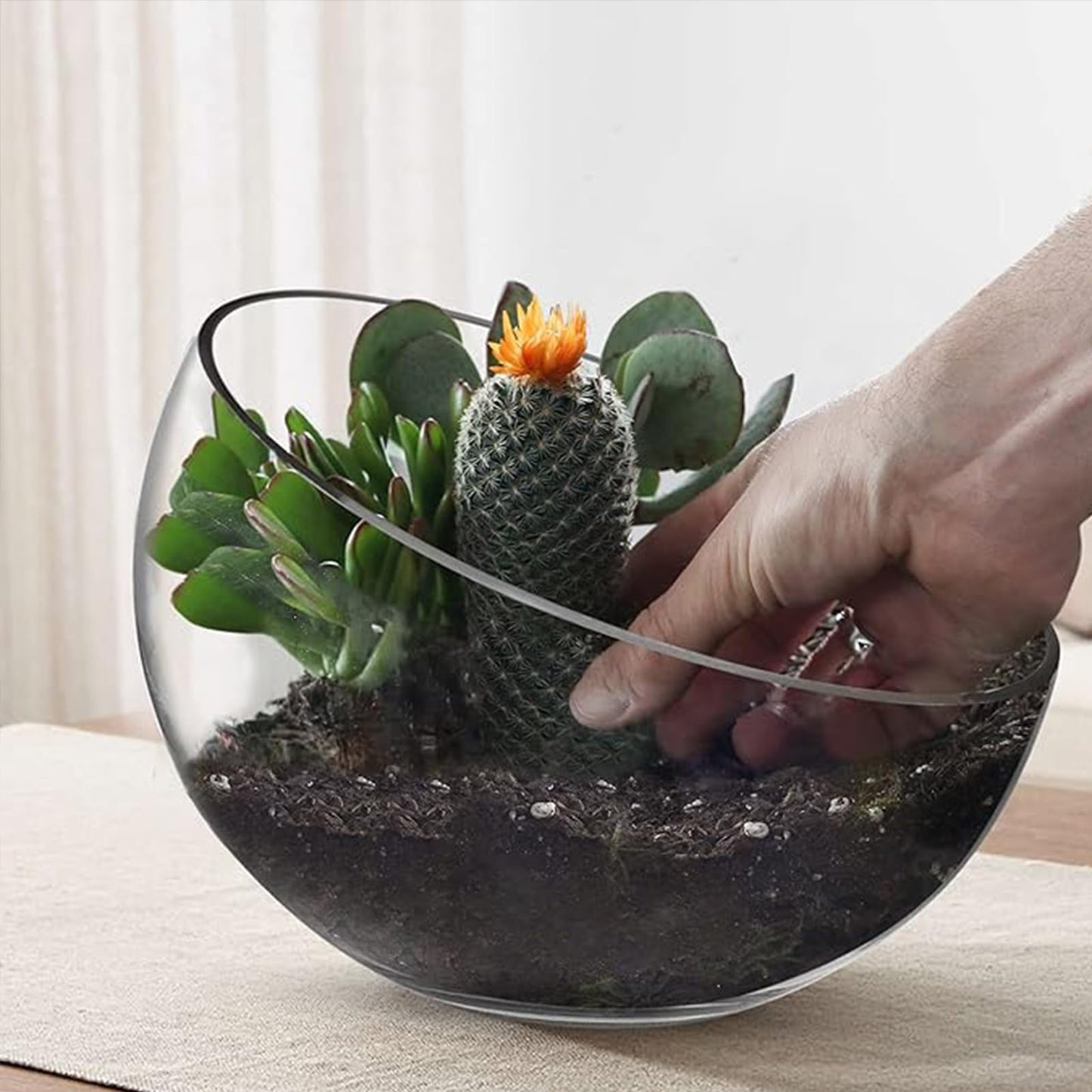 HNJZX Glass Prep Bowls,Clear Glass Slant Cut Tilted Angled Bubble Ball Decorative Serving Salad Bowl for Kitchen Microwave (800ML+450ML)