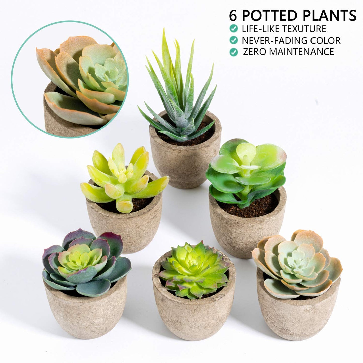 T4U Artificial Succulent Plants in Pot