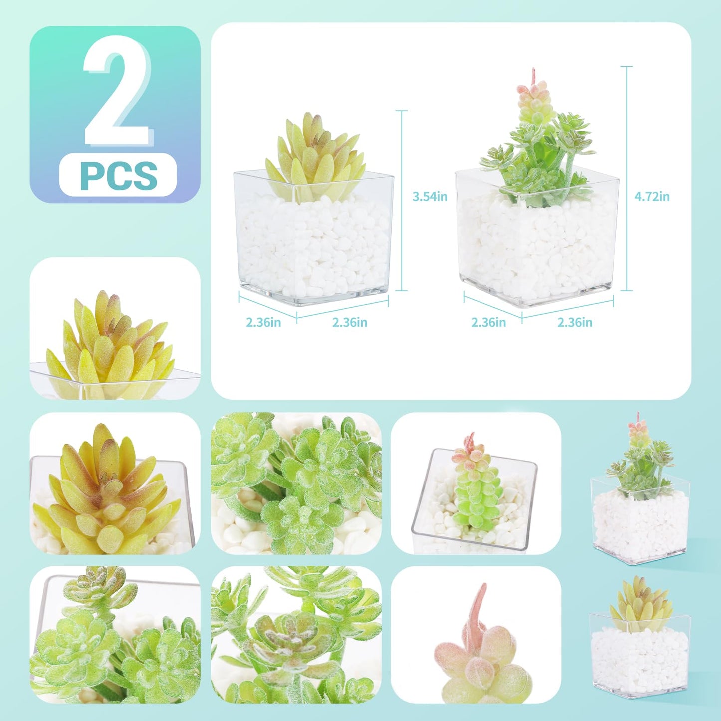 PapakeNook Mini Artificial Succulent in Pots, Clear Acrylic, 2-Pack