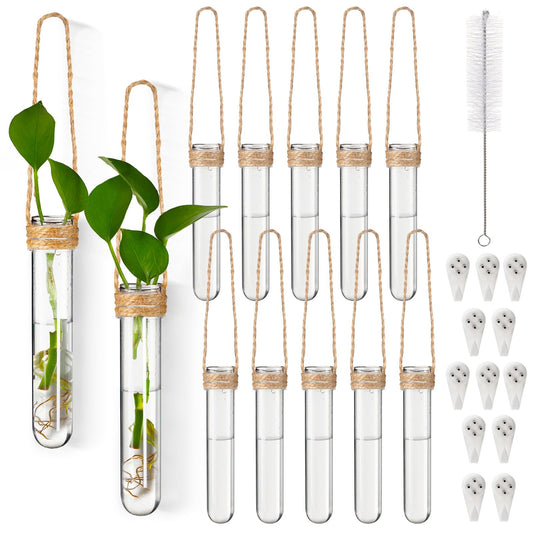 Baderke 12 Pack Plastic Hanging Propagation Tubes Propagation Station Vases Wall Hanging Plant Vase for Planters Hydroponic Office Garden Flowers Decor Lover Gift (Natural Color)