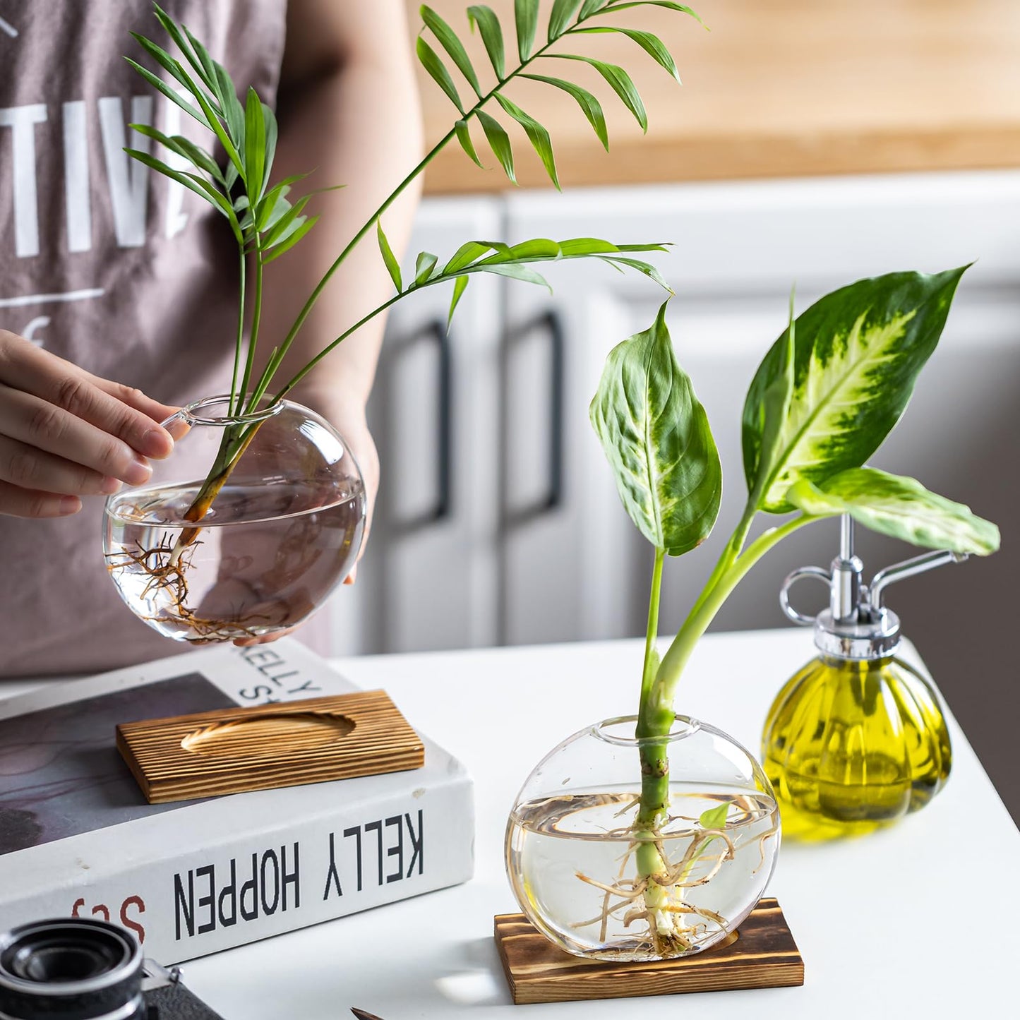 wangsdjy Glass Planter Propagation Station with Wooden Base - Clear Oblate Hydroponic Vase, Decorative Desktop Flower Vase for Home, Office, Windowsill - Gift for Plant Lovers (2)