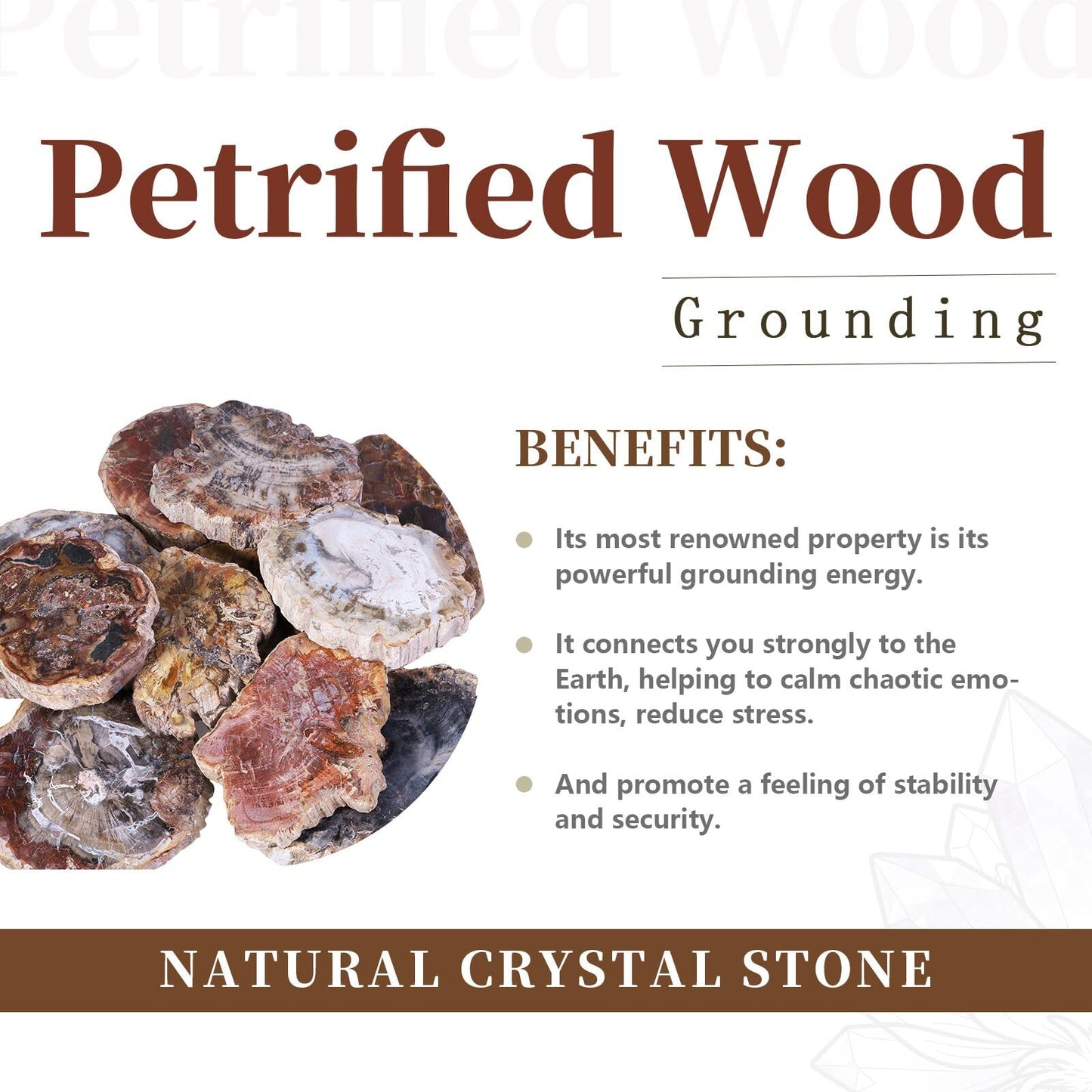 rockcloud 3.3-5" Natural Irregular Petrified Wood Stones Coaster Cup Mat Chakra Healing Stone Specimen 1 PC
