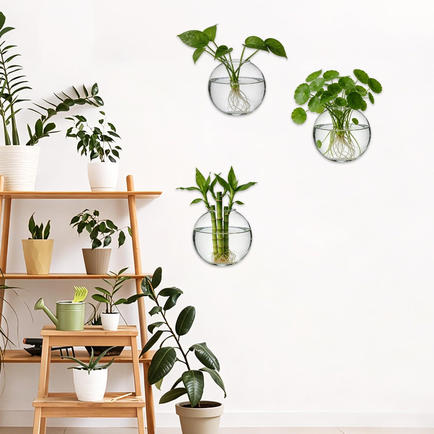 LOLYSIC 8PCS Wall Mounted Vase, Glass Wall Vase Propagation Wallmount Hanging Planters for Hydroponics with Traceless Nails for Home Office Living Room