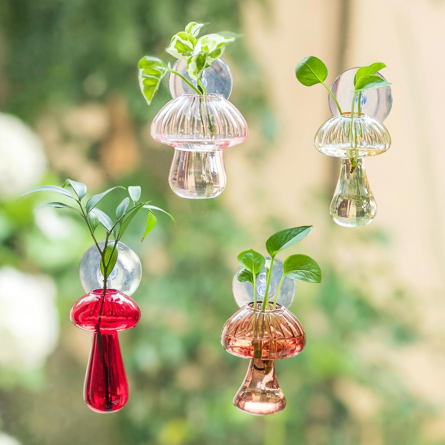 Glasseam Window Plant Propagation Stations: Glass Hanging Mushroom Vases