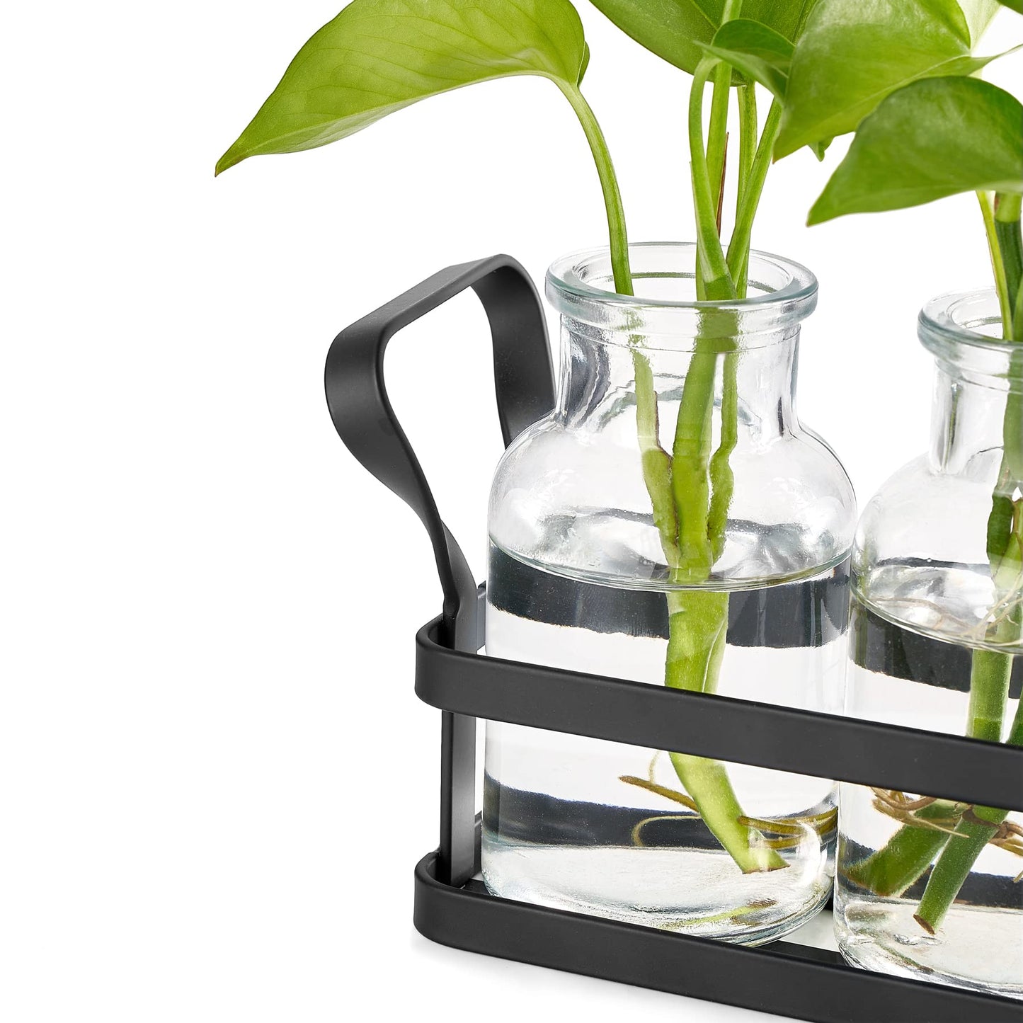Mkono Propagation Stations with Metal Stand, Desktop Plant Terrarium Glass Planter Vase for Hydroponic Plants Flower Cutting Home Office Garden Decor Plant Lover Gifts, 3 Jars