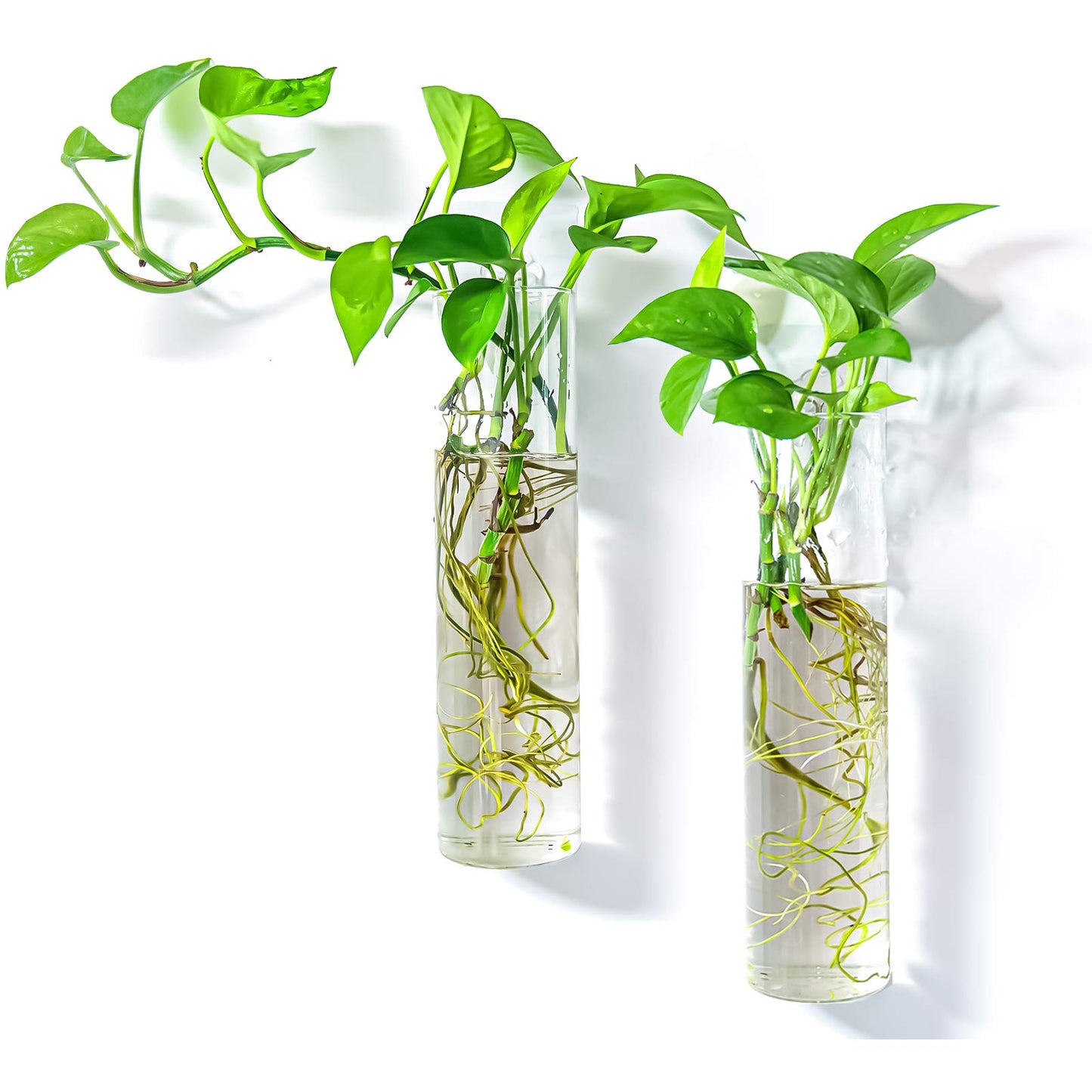 PACDONA 2 Pack Wall Hanging Planters Glass Terrariums - Cylindrical Plants Holders Air Plants Succulents Planters Flowers Glass Wall Vase Containers for Decor Indoor Garden