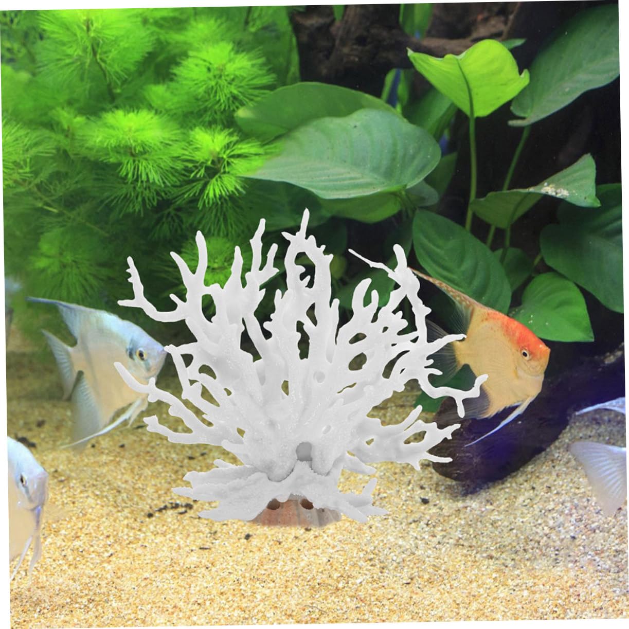 Levemolo 2pcs Decorative Coral Branches Artificial Underwater Plant Sculpture for Fish Tank Landscape Easy to Clean Fish Friendly Flexible Use for Saltwater Aquariums