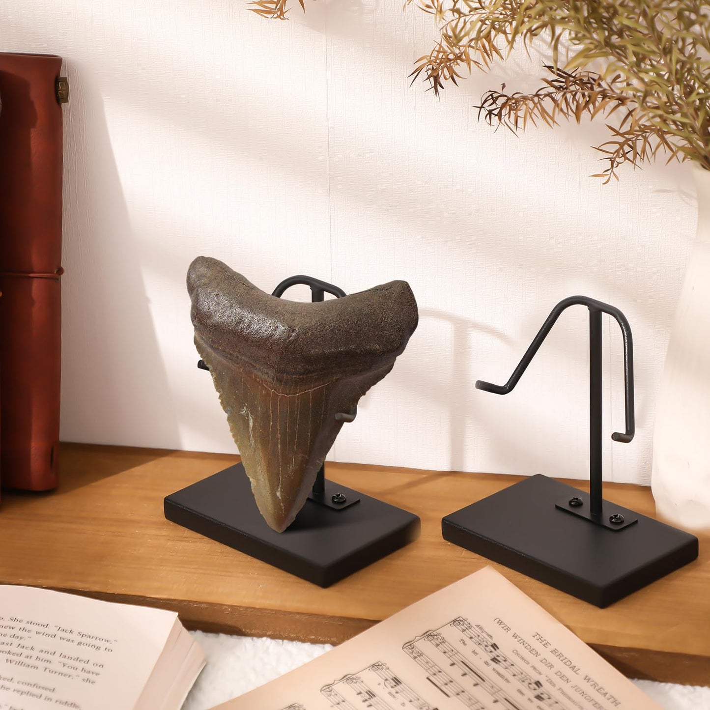 Chunful 2 Pcs Megalodon Shark Tooth Display Stand Metal Display Holder with Base for Mineral Agate, Rocks Crystal, Gemstones, Fossils, Coral Geodes, Plate and Photo
