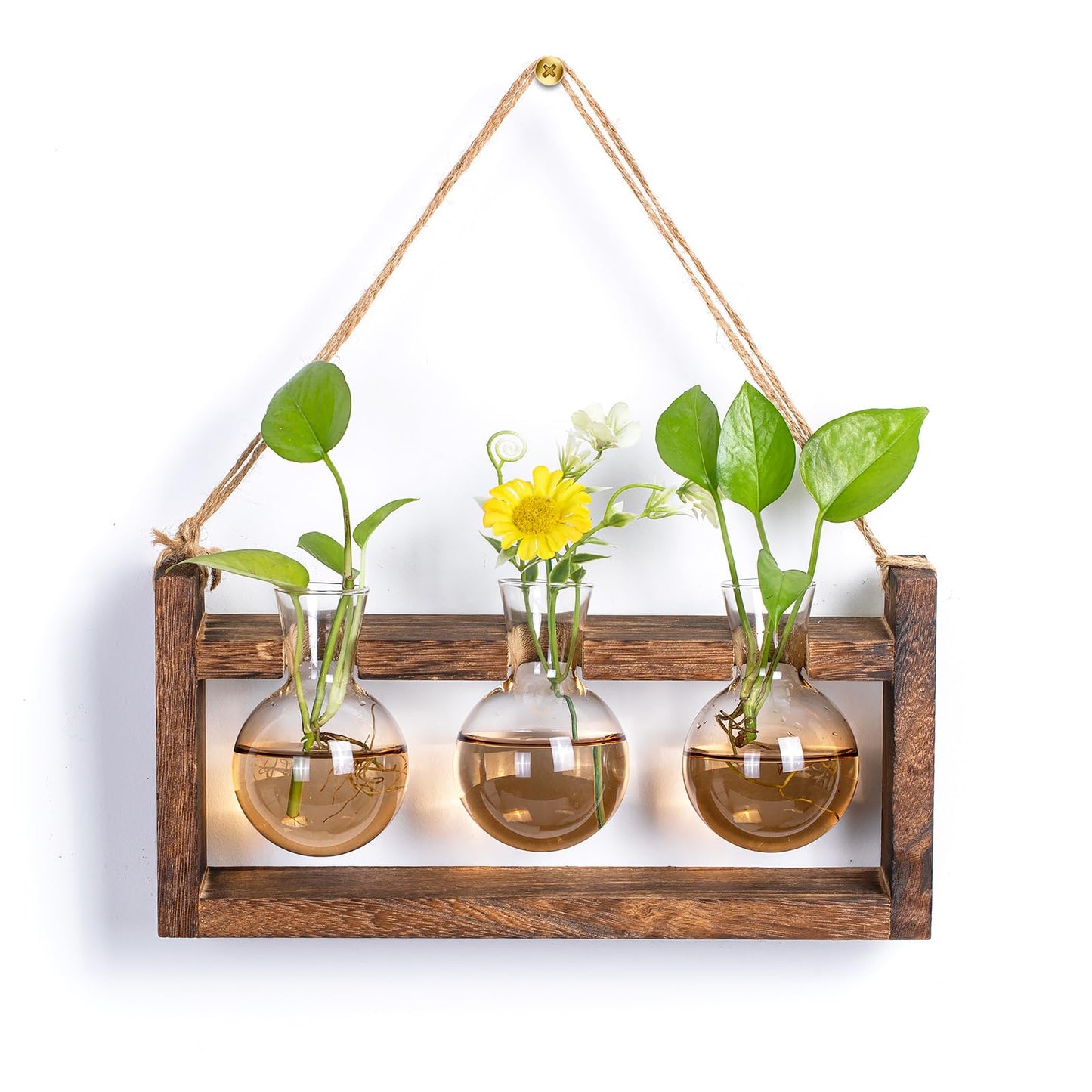 Walasis Plant Propagation Station with Wood Stand - Farmhouse Wood Wall Decor - Gift for Women Plant Lovers (Gradient Brown)