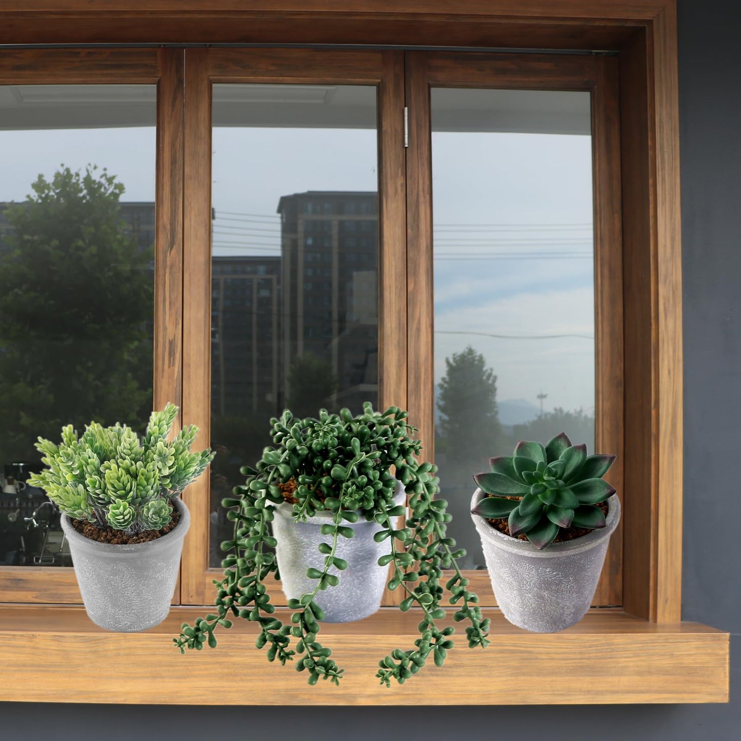 COTSEN 3 Pcs Artificial Succulents Potted Plants Assorted Fake Succulents Potted for Family Office Garden Interior Decor