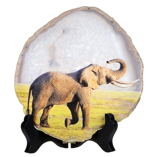 Nupuyai Natural Agate Stone Slice Decor for Home Office, Irregular Geode Agate Painting Artwork with Wooden Stand, Elephant