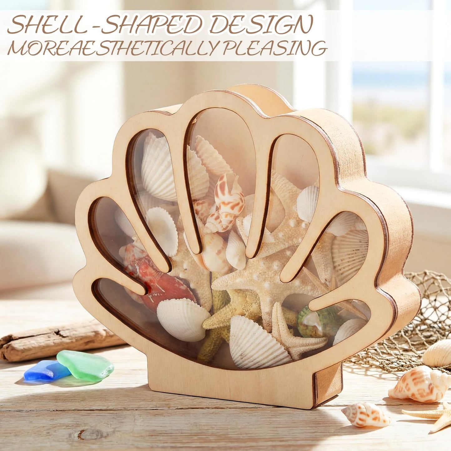 Novabright 2 Pcs Seashell Display Box Wooden Small Starfish Seashell Display Case with Acrylic Clear Window Shark Tooth Collection Box for Sea Rock Home Decor Present for Beach Lovers(Wood)