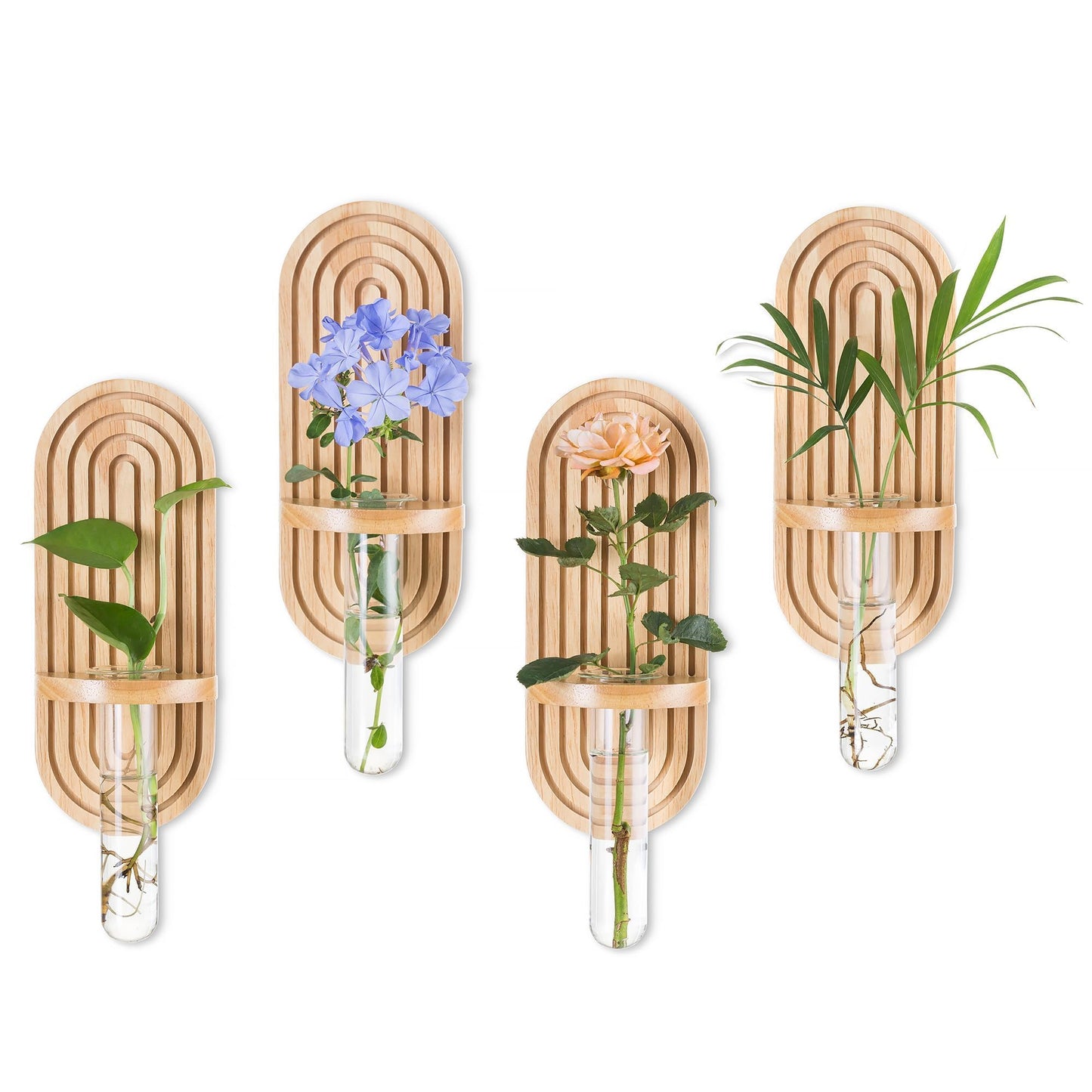 Glasseam Wall Plant Propagation Station: Hanging Glass Propagation Vases