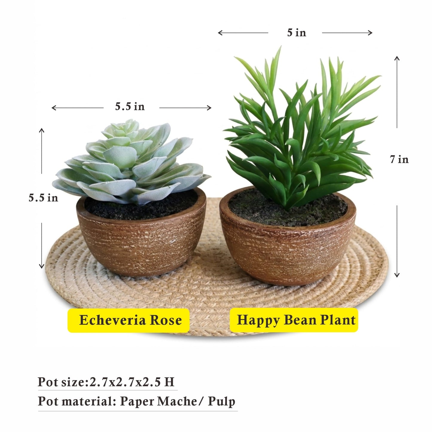 VINSUNI Artificial Succulents Plastic Artificial Green Plant for Office, Fake Succulents for Home Decoration (Set of 2 Succlents in Pots)