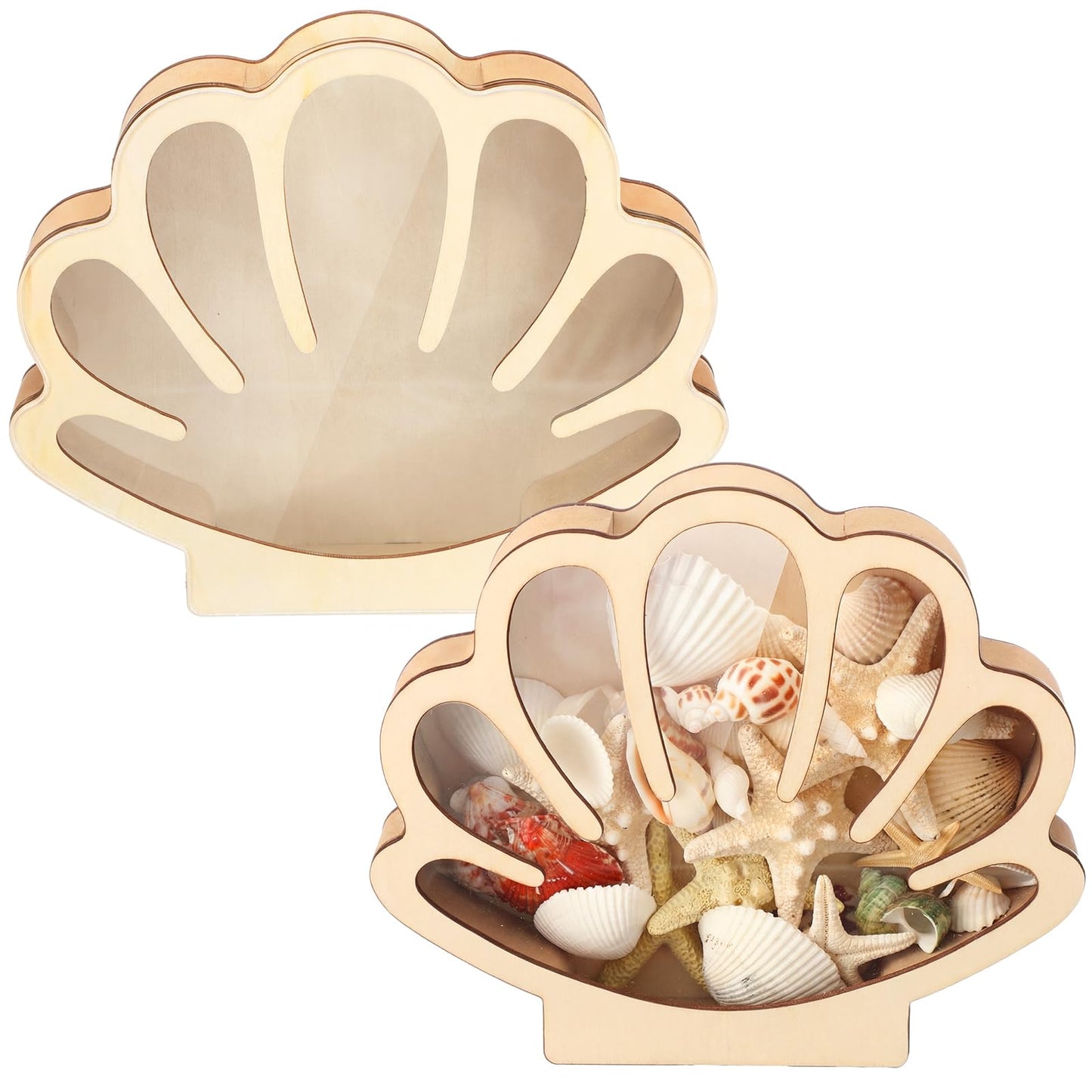 Novabright 2 Pcs Seashell Display Box Wooden Small Starfish Seashell Display Case with Acrylic Clear Window Shark Tooth Collection Box for Sea Rock Home Decor Present for Beach Lovers(Wood)