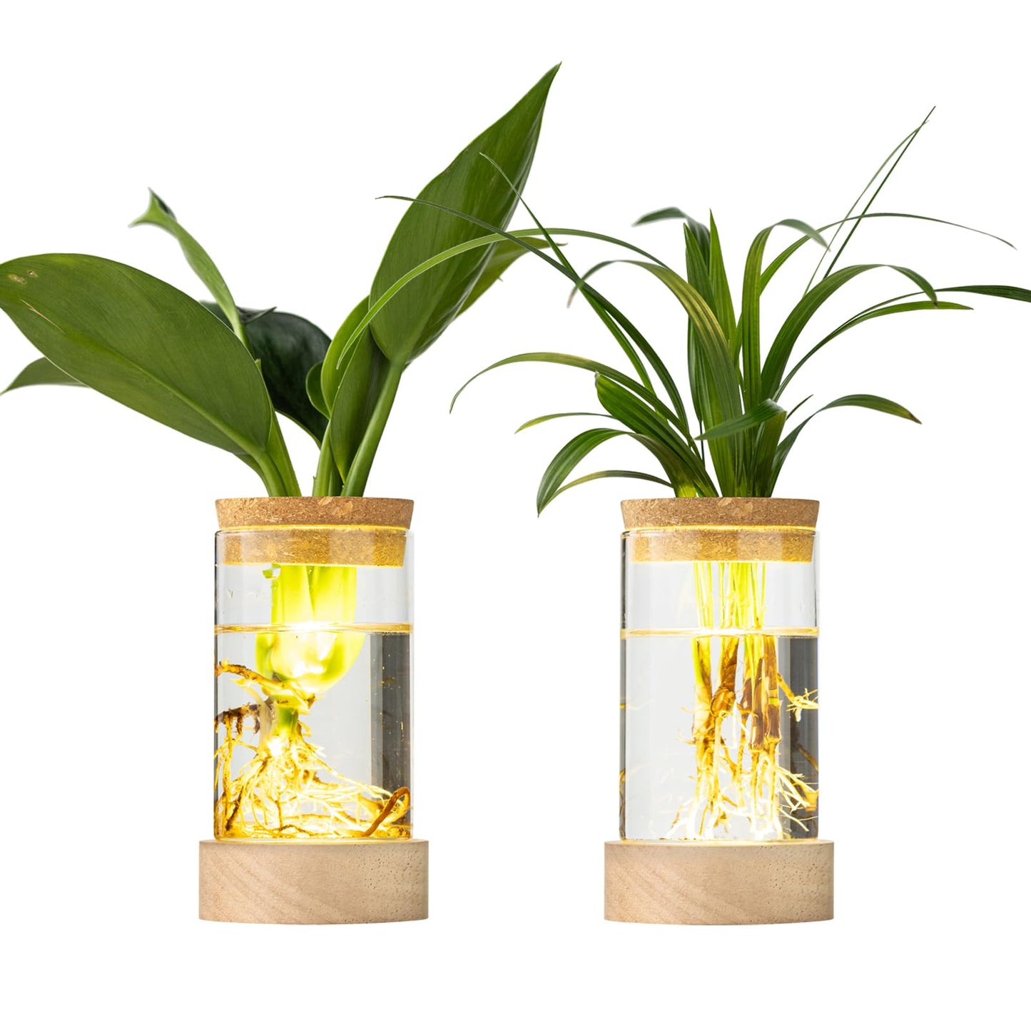 Glass Plant Propagation Stations, Propagation Vases for Plants with Ambient Light Base, Hydroponic Vase for Home & Office Windowsill Tabletop Decoration Desktop Vases for Living Room, Bedroom (2)
