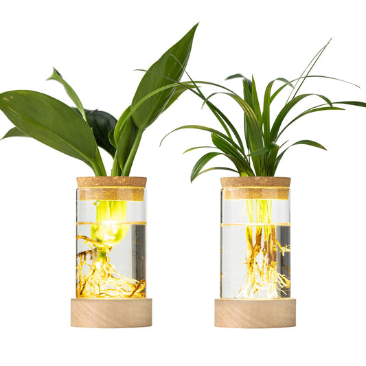 Glass Plant Propagation Stations, Propagation Vases for Plants with Ambient Light Base, Hydroponic Vase for Home & Office Windowsill Tabletop Decoration Desktop Vases for Living Room, Bedroom (2)
