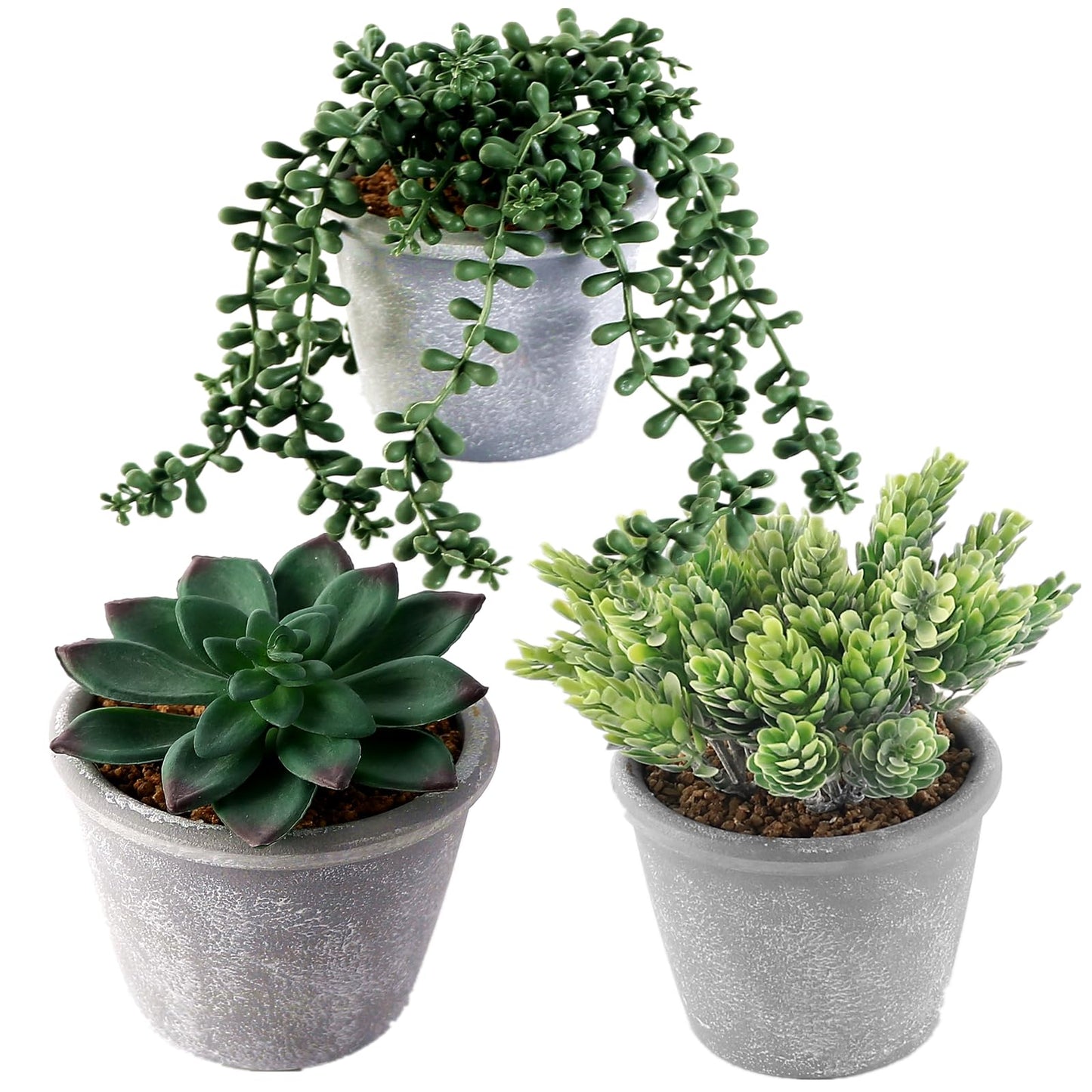 COTSEN 3 Pcs Artificial Succulents Potted Plants Assorted Fake Succulents Potted for Family Office Garden Interior Decor