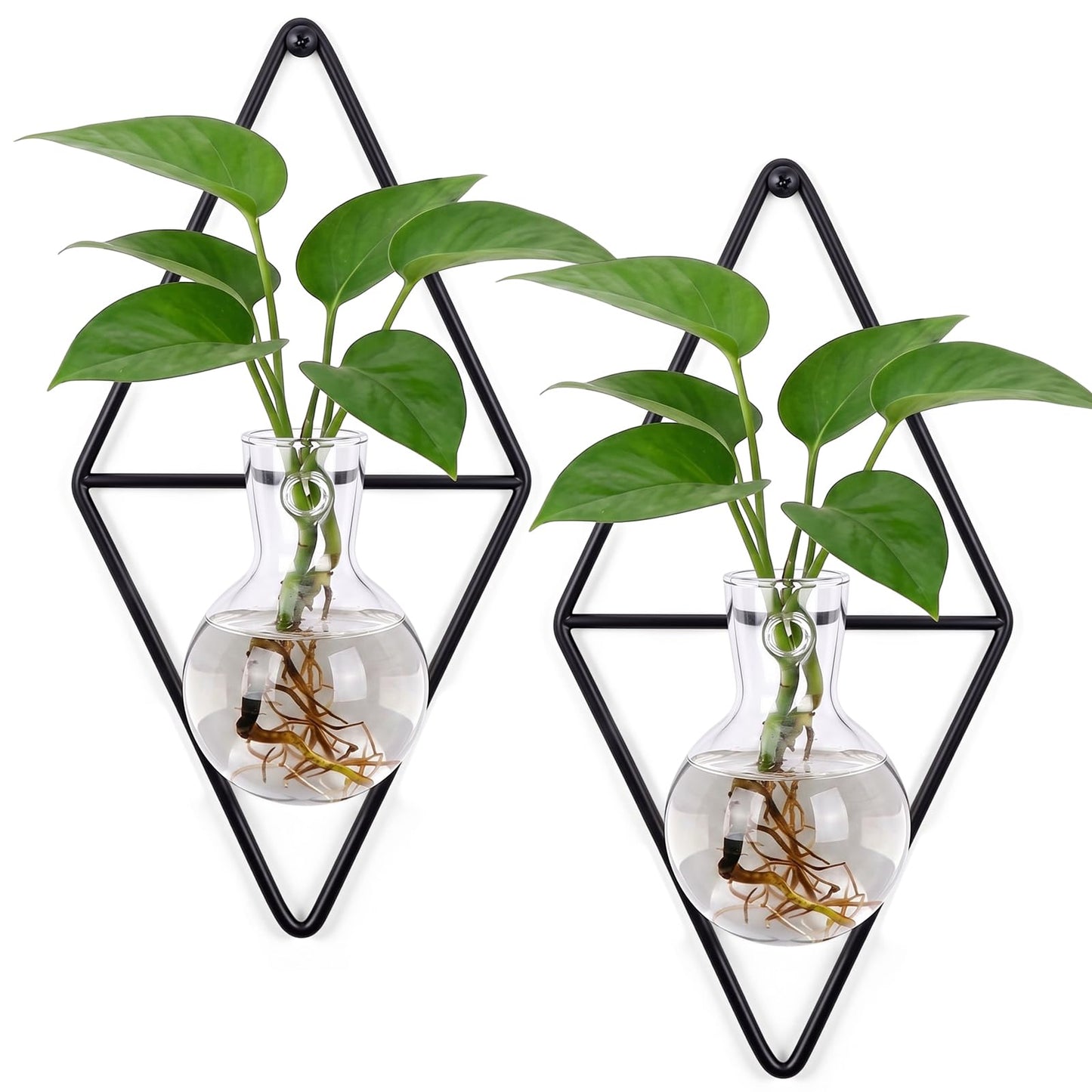 Ferrochef 2 Pack Wall Hanging Glass Vase with Metal Frame, Wall Mounted Plant Propagation Station, Diamond Shape Hydroponic Glass Planters with Iron Holder and Screws for Indoor Decor (Black)