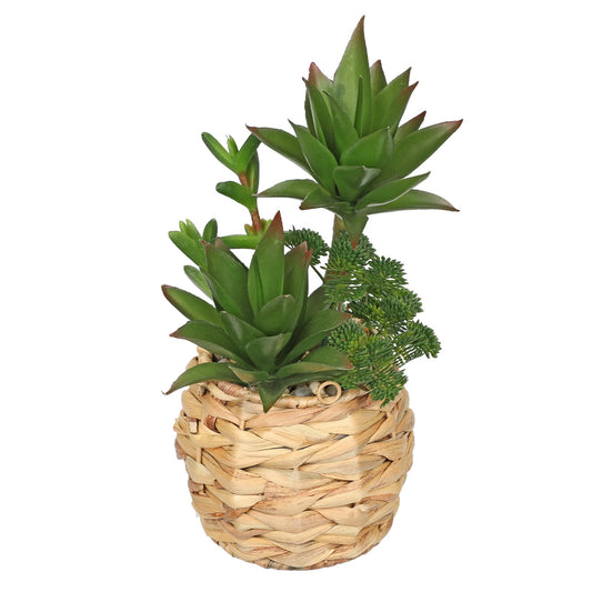 10" Large Succulents Plants Artificial in Wooden Pots, Fake Succulents in Woven Pots, Faux Succulent Artificial Plants Indoor for Home, Bedroom, Living Room, Bathroom Desk Shelf Table Decor