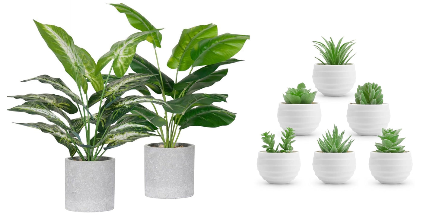 Der Rose Bundle of 2 Pack Fake Plants and 6 Packs Small Artificial Succulents Plants for Home Room Decor Indoor