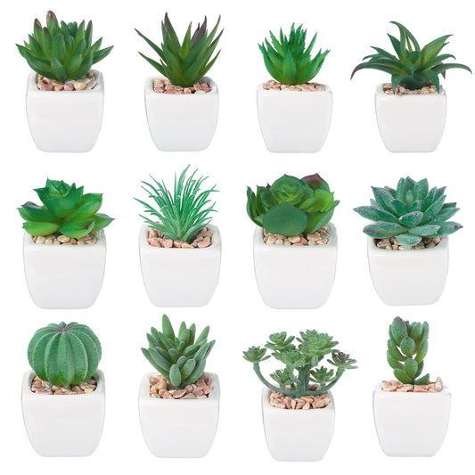 Crowye 12 Pcs Artificial Succulents Plants in Ceramic Pots Fake Succulents Mini Faux Succulents for Home Decor Indoor Small Fake Plants for Bedroom Bathroom Office Home Aesthetic Desk Decorations