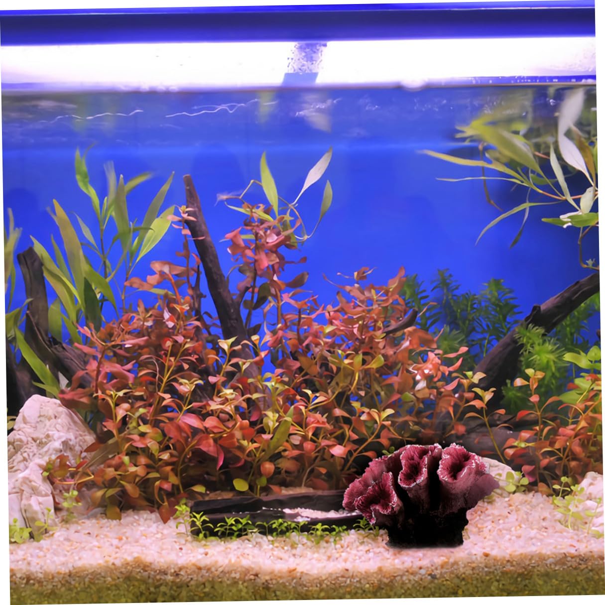DOITOOL Artificial Purple Resin Coral Sculpture Fish Tank Decoration Aquarium Ornament for Freshwater and Saltwater Tanks, Sea Life Coral Figurine Tabletop Decor