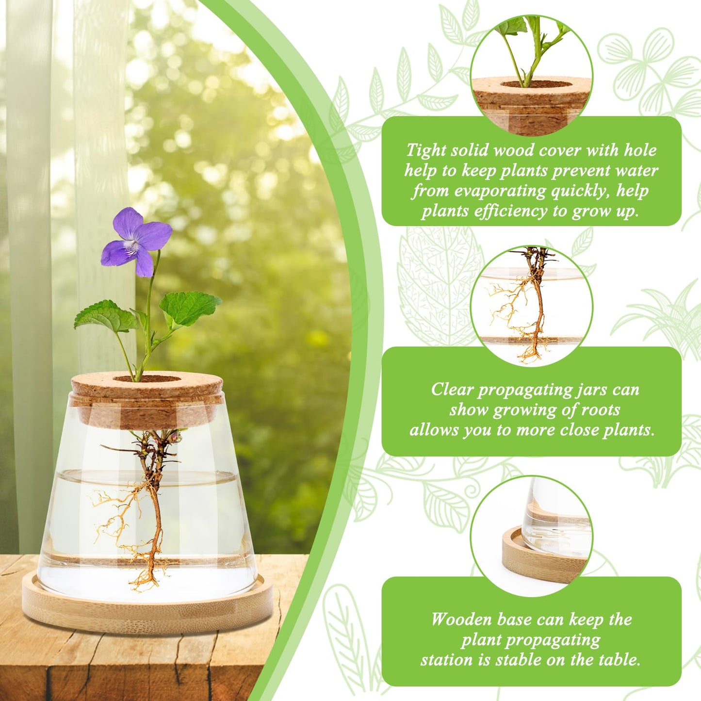 Coldairsoap 2 Pcs Plants Propagation Station, Separated Desktop Glass Planter Station Hydroponics Plant Terrarium with Wooden Tray & Lid Glass Vase Propagating Jars Gifts for Women Mom Plant Lovers