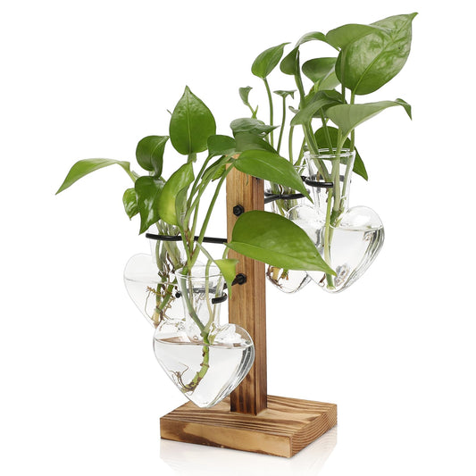 CYZglass Plant Terrarium Propagation Stations with Wooden Stand