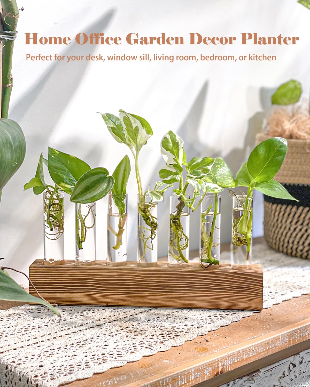 KAXYEW Plant Terrarium with Wooden Stand, Plant Propagation Tubes, 7 Test Tubes Glass Planter for Hydroponic Plant Cuttings Home Office Décor