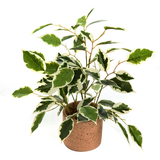 Ainuowei 12.8'' Fake Plants Ficus Plasitc Leaves Artificial Plants with Rustic Cement Planter Realistic Silk Faux Plants Perfect for Home Shelf Bathroom Kitchen Office Indoor Outdoor Decor