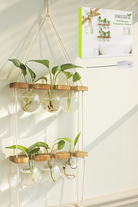 Renmxj Plant Propagation Station Wall Hanging with 2 Tiered Wooden Stand