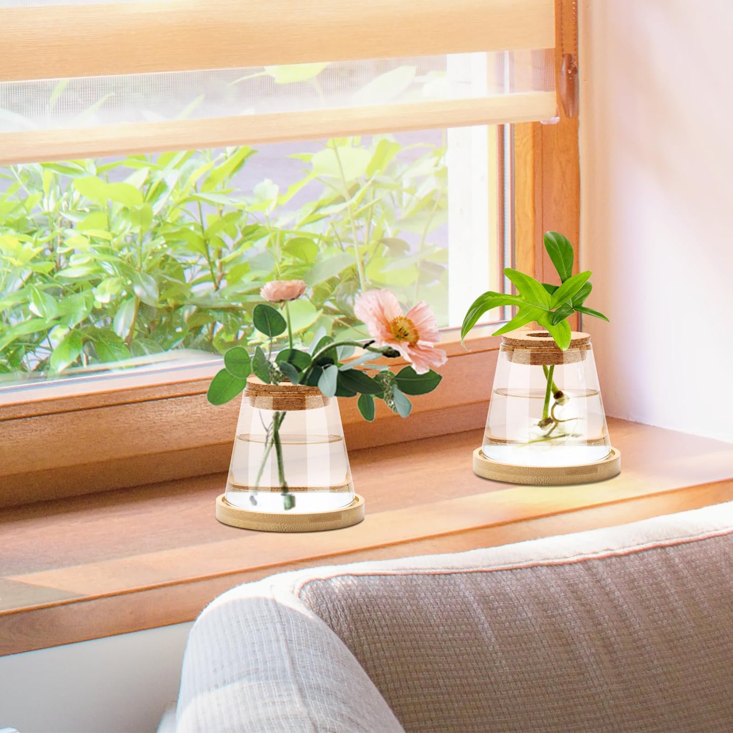 Coldairsoap 2 Pcs Plants Propagation Station, Separated Desktop Glass Planter Station Hydroponics Plant Terrarium with Wooden Tray & Lid Glass Vase Propagating Jars Gifts for Women Mom Plant Lovers