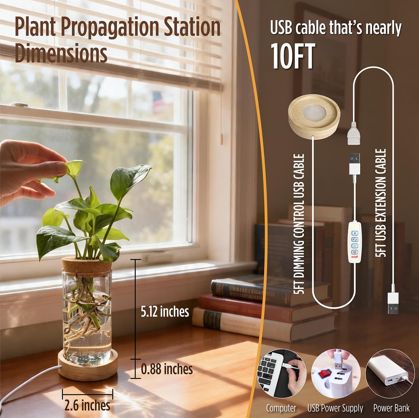 Plant Propagation Station with Light, Glass Planter Station with Waterproof Adjustable LED Lighted Wooden Base, Desktop Hydroponic Plants Terrarium Vases Jars for Home & Office Decor