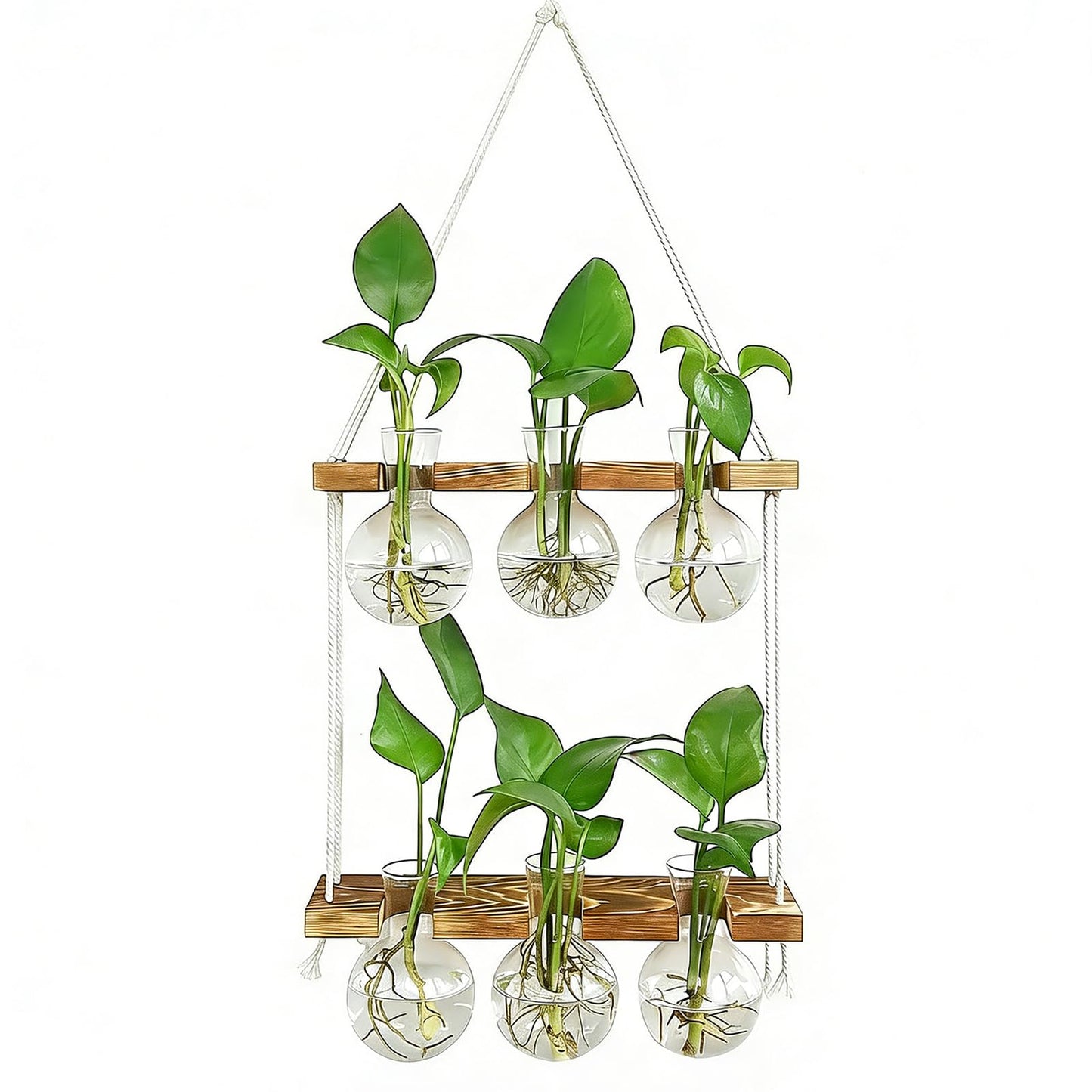 Renmxj Plant Propagation Station Wall Hanging with 2 Tiered Wooden Stand
